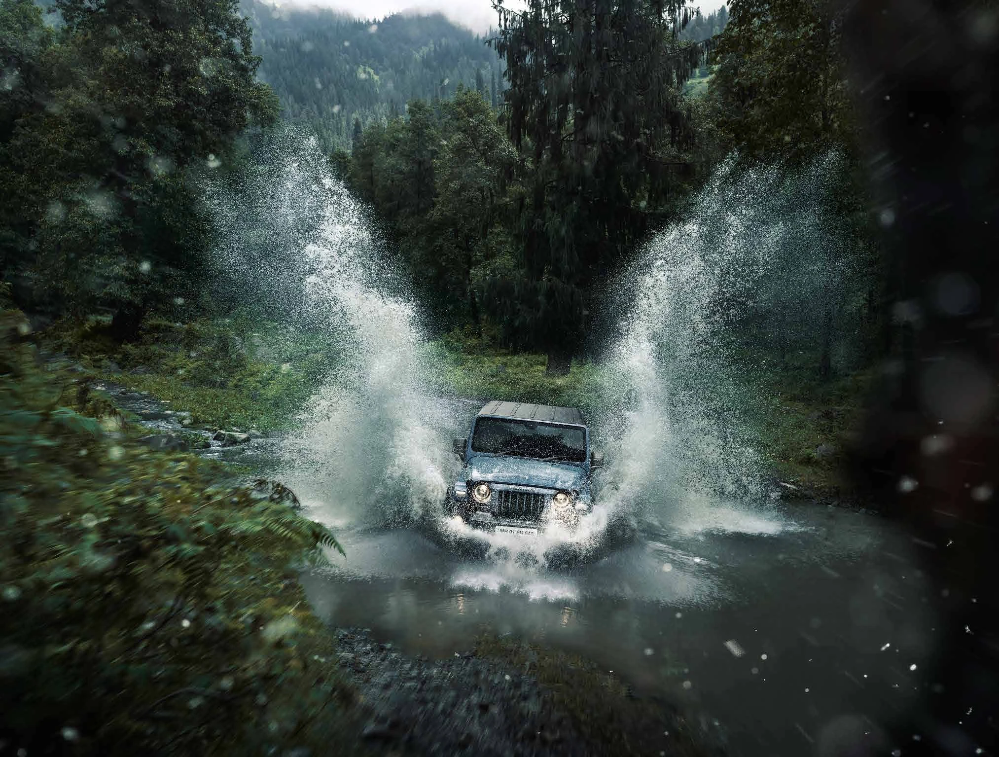 Water Crossing: Forest Stream