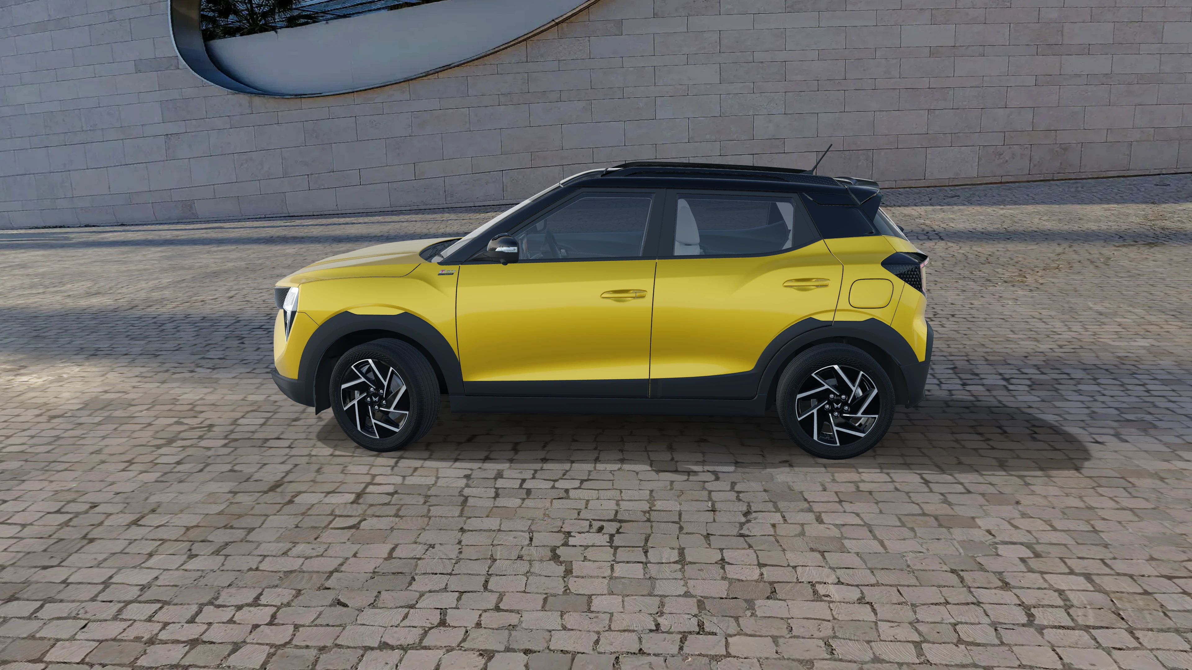 Side Profile (Left)
