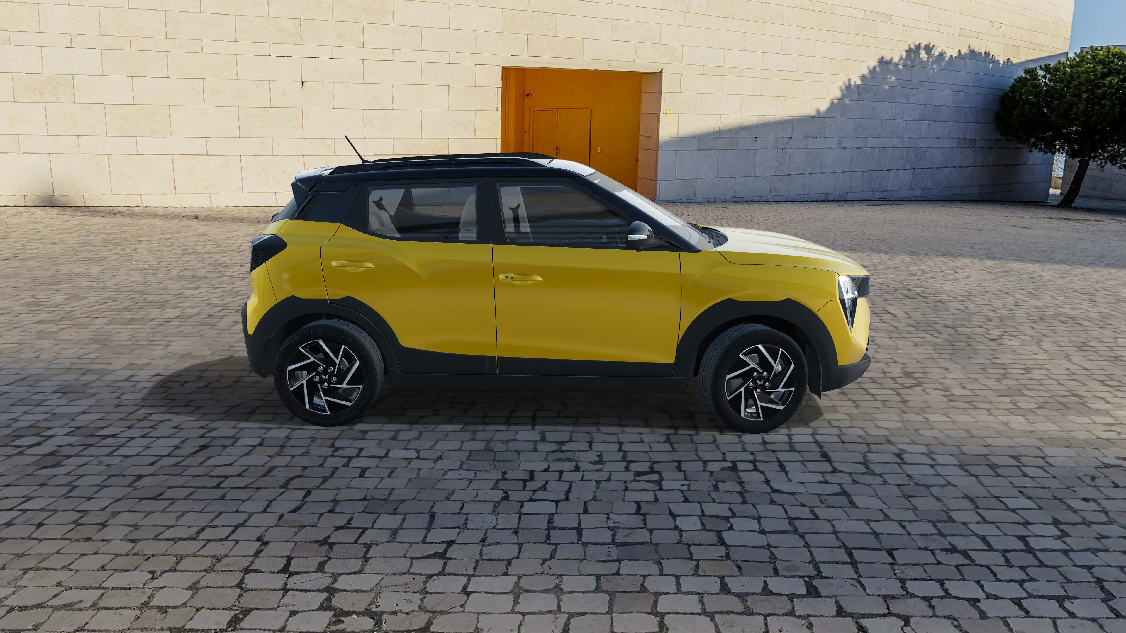 Side Profile (Right)