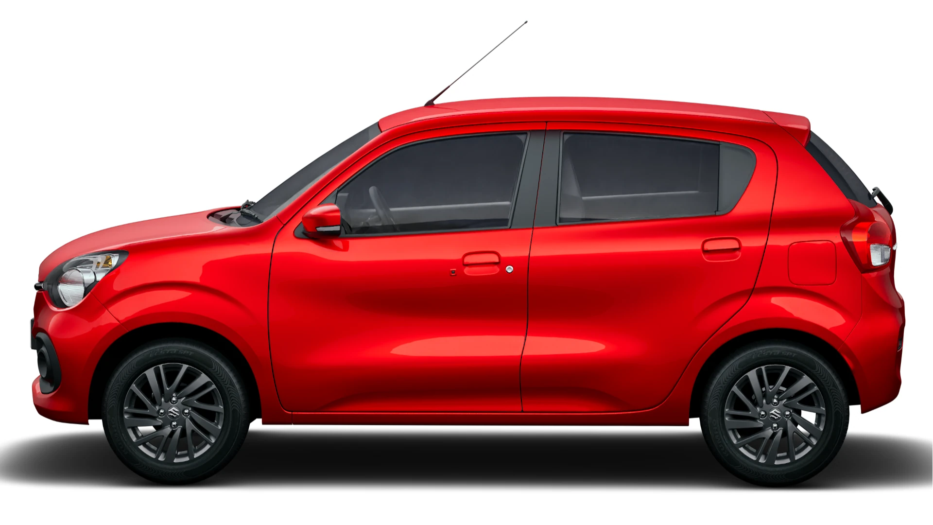 Side Profile (Left)