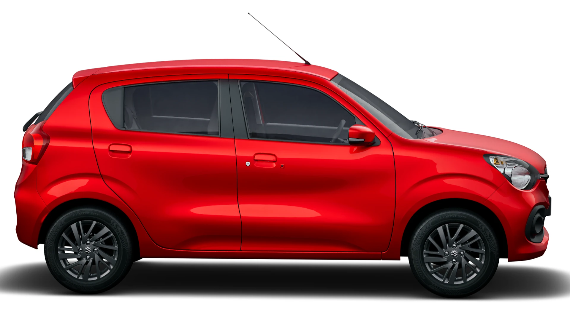 Side Profile (Right)