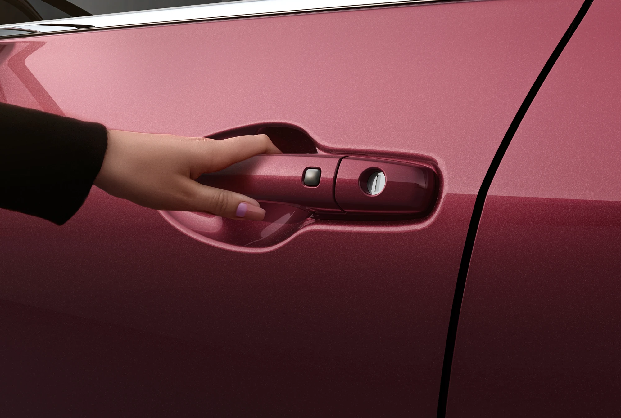 Keyless Entry Door Switch