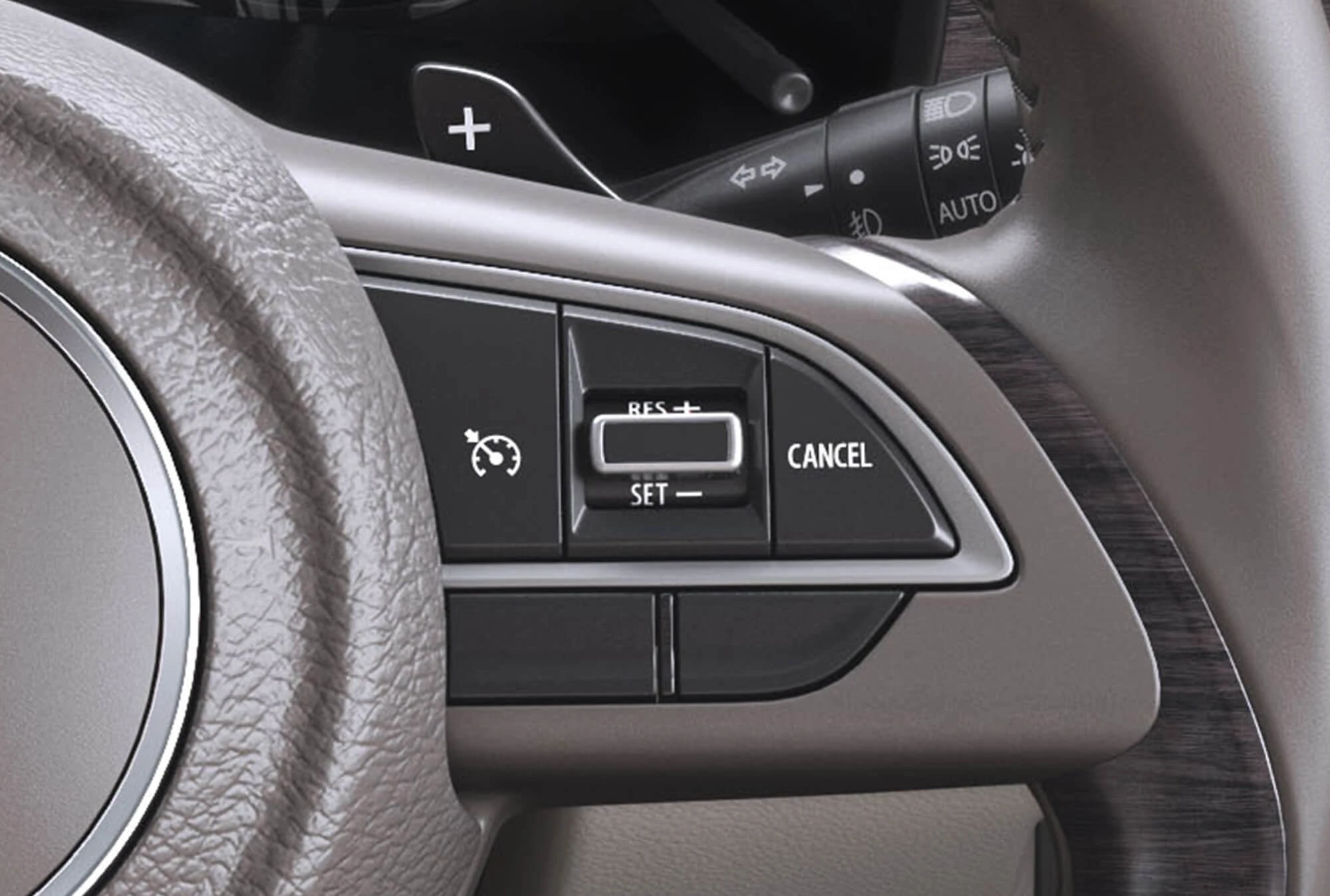 Cruise Control Switches