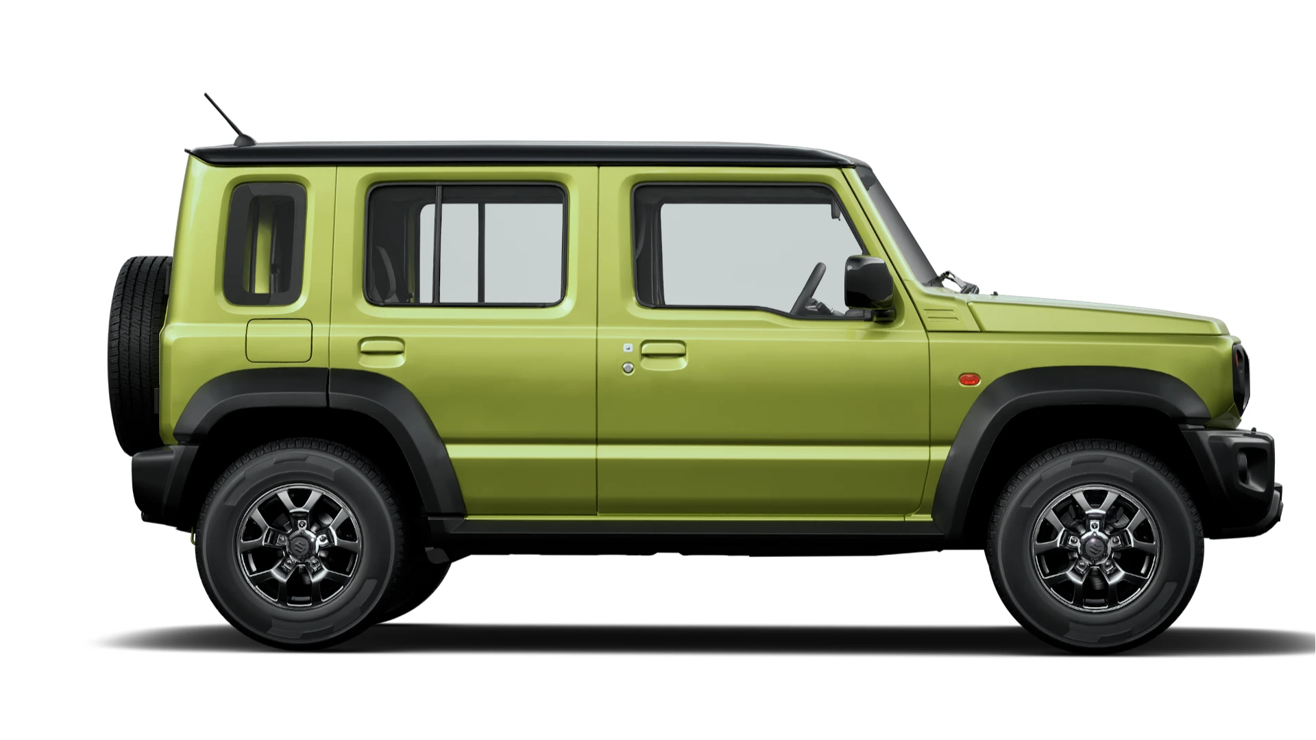 Side Profile (Right)