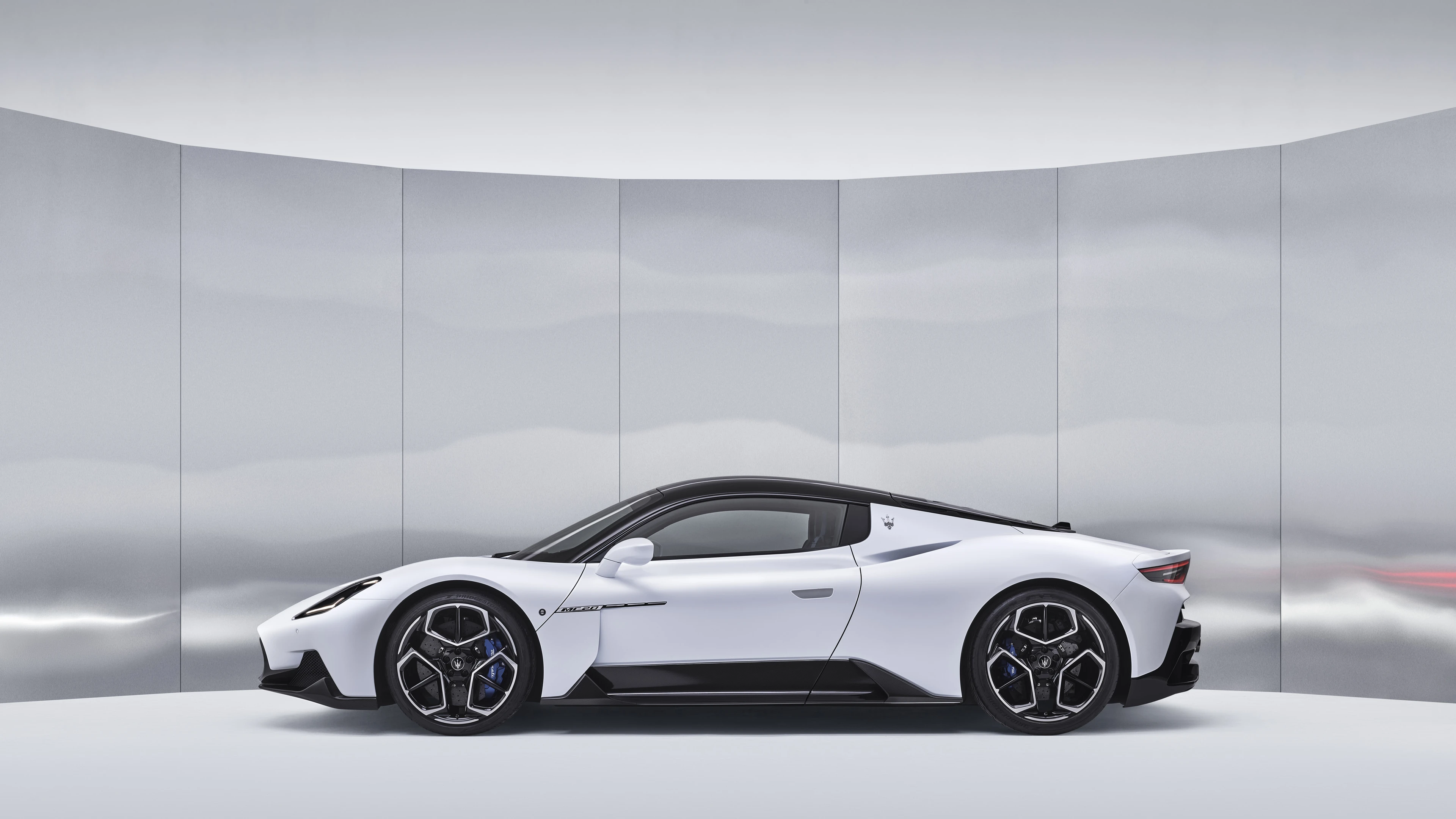 Side Profile (Left)