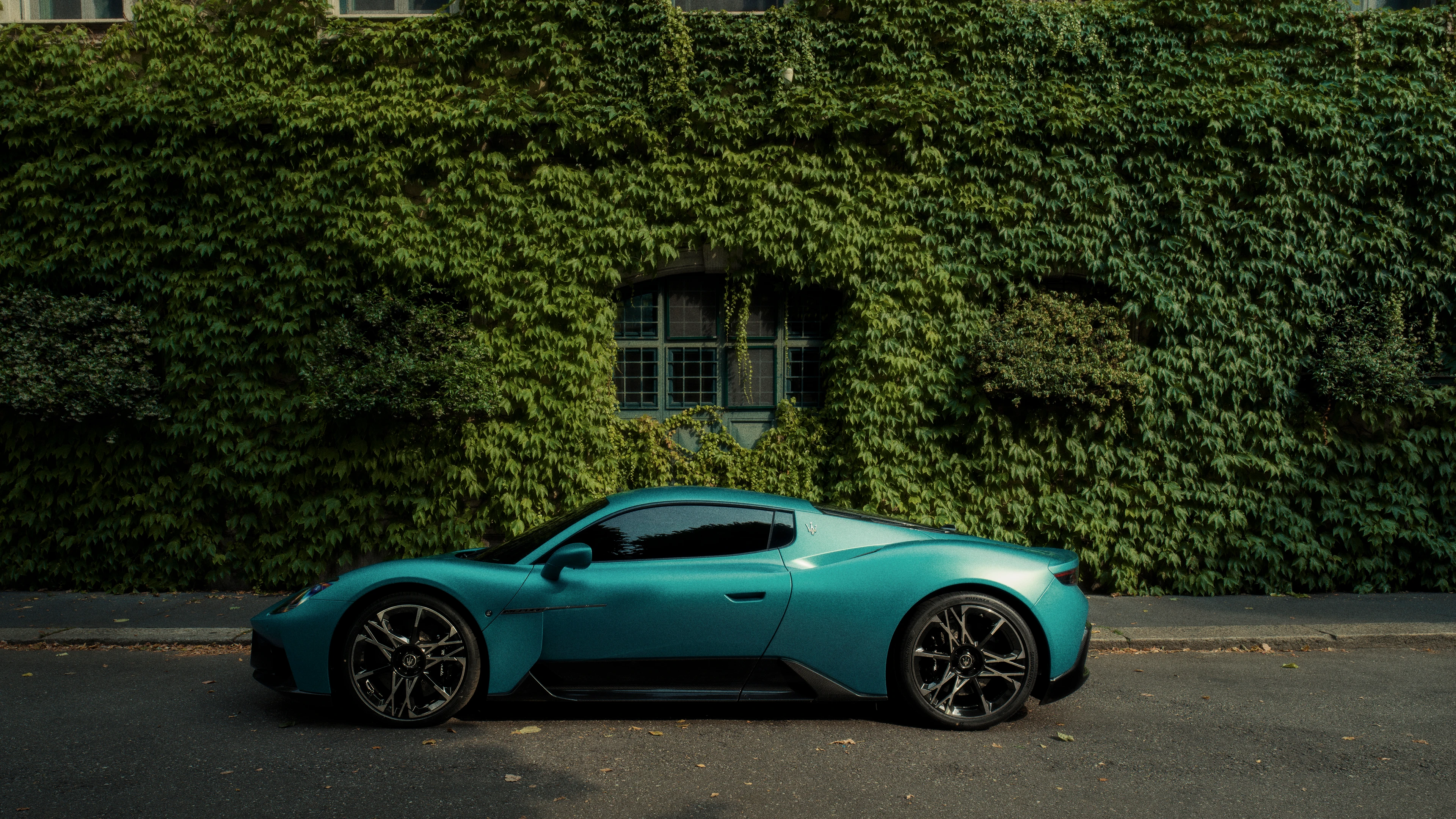 Side Profile (Right)