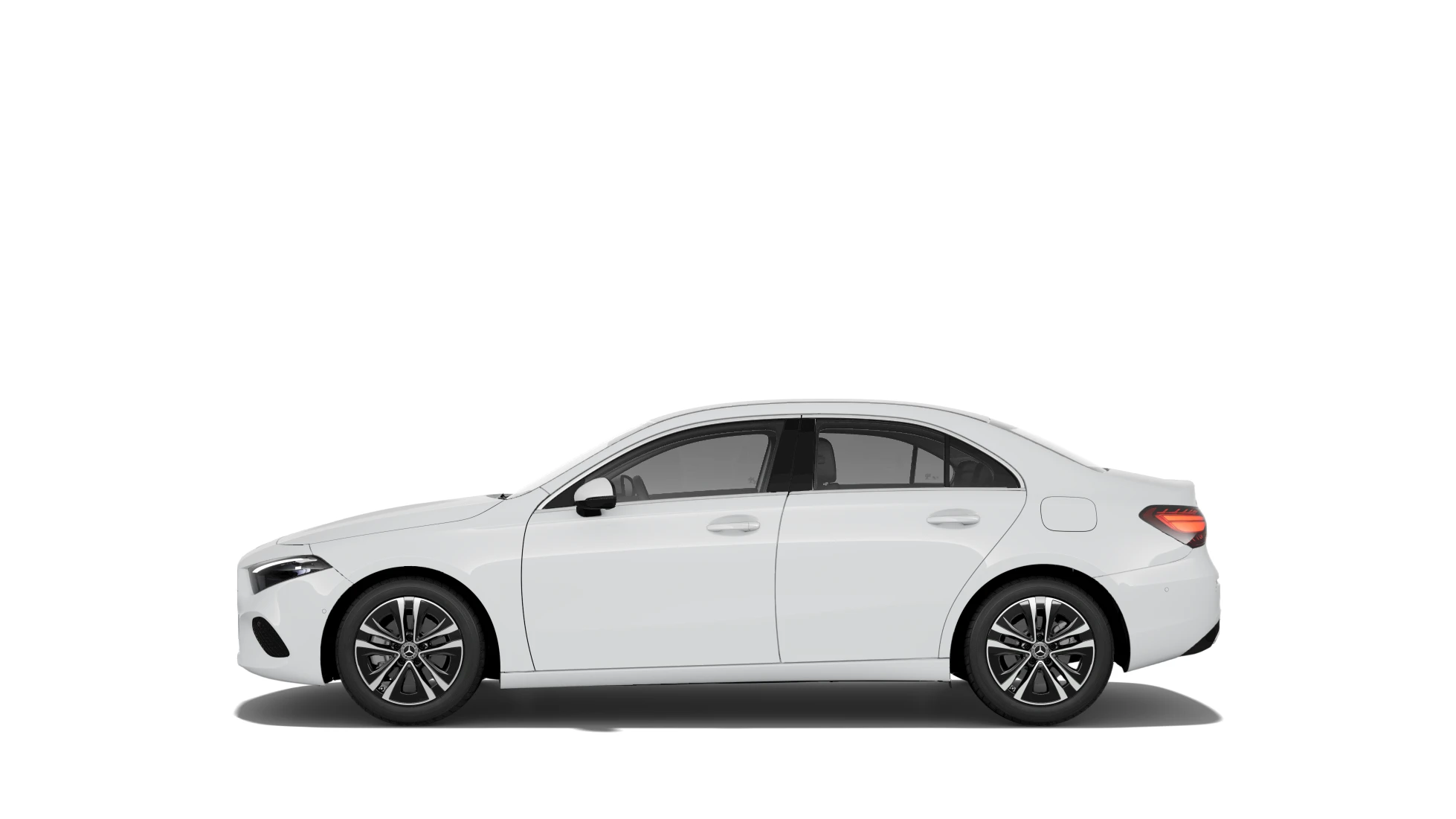 Side Profile (Left)