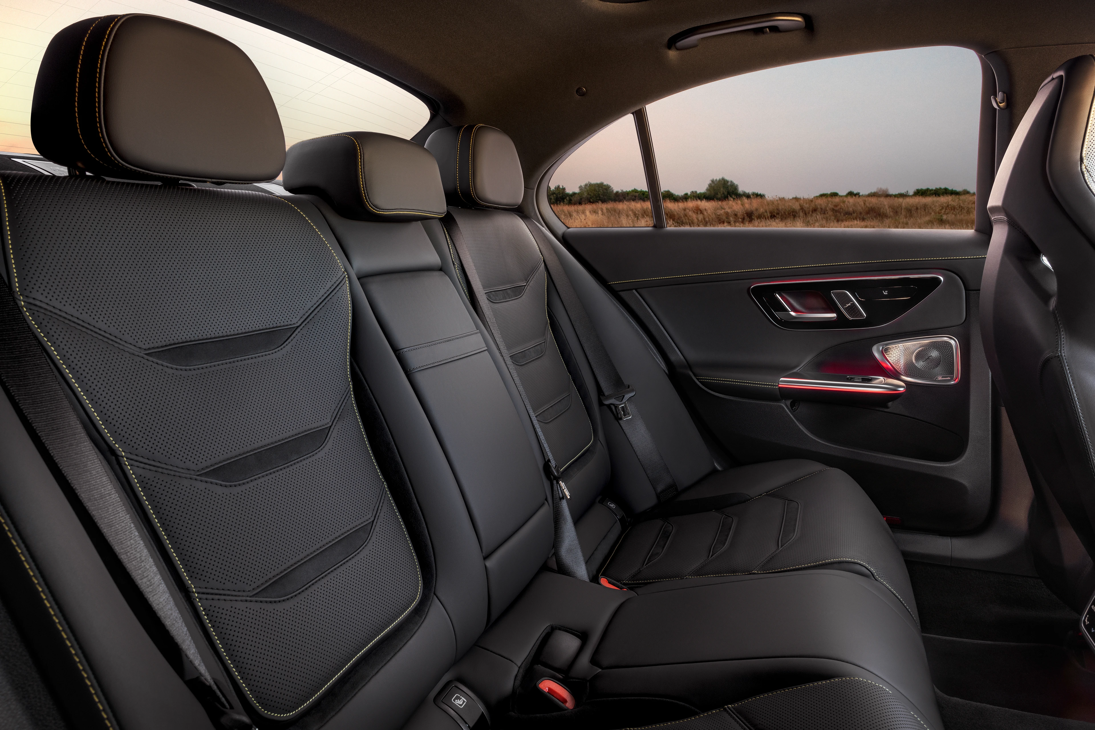 Rear Seats