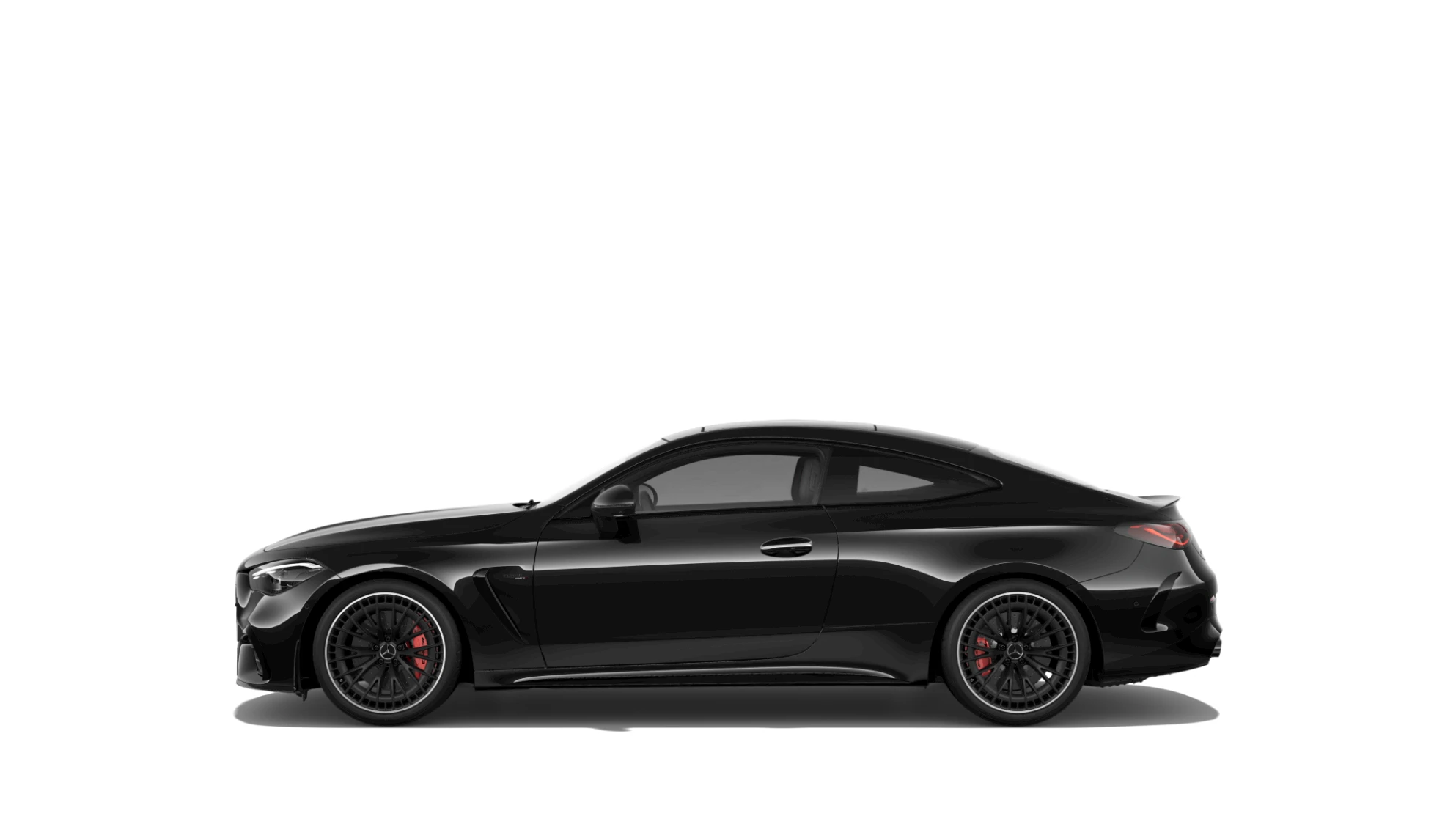 Side Profile (Left)
