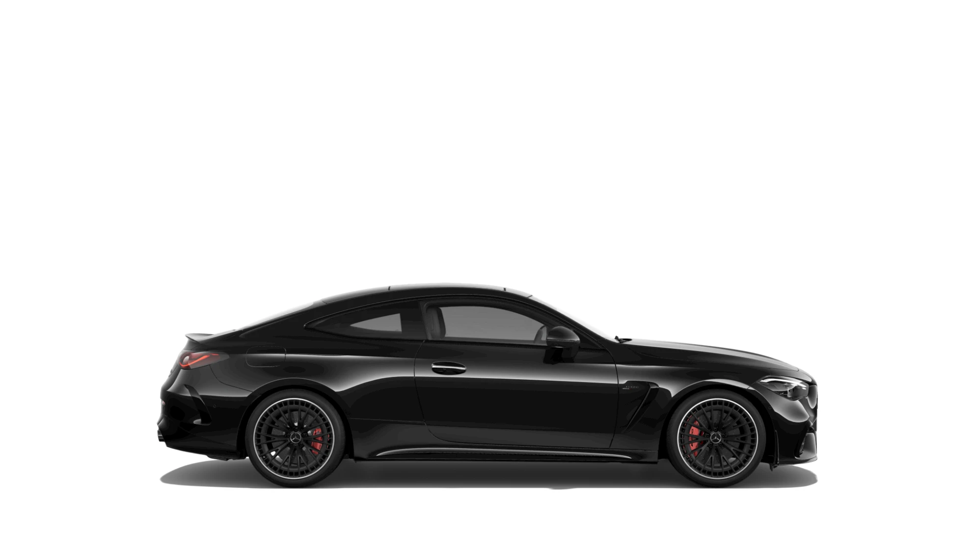 Side Profile (Right)