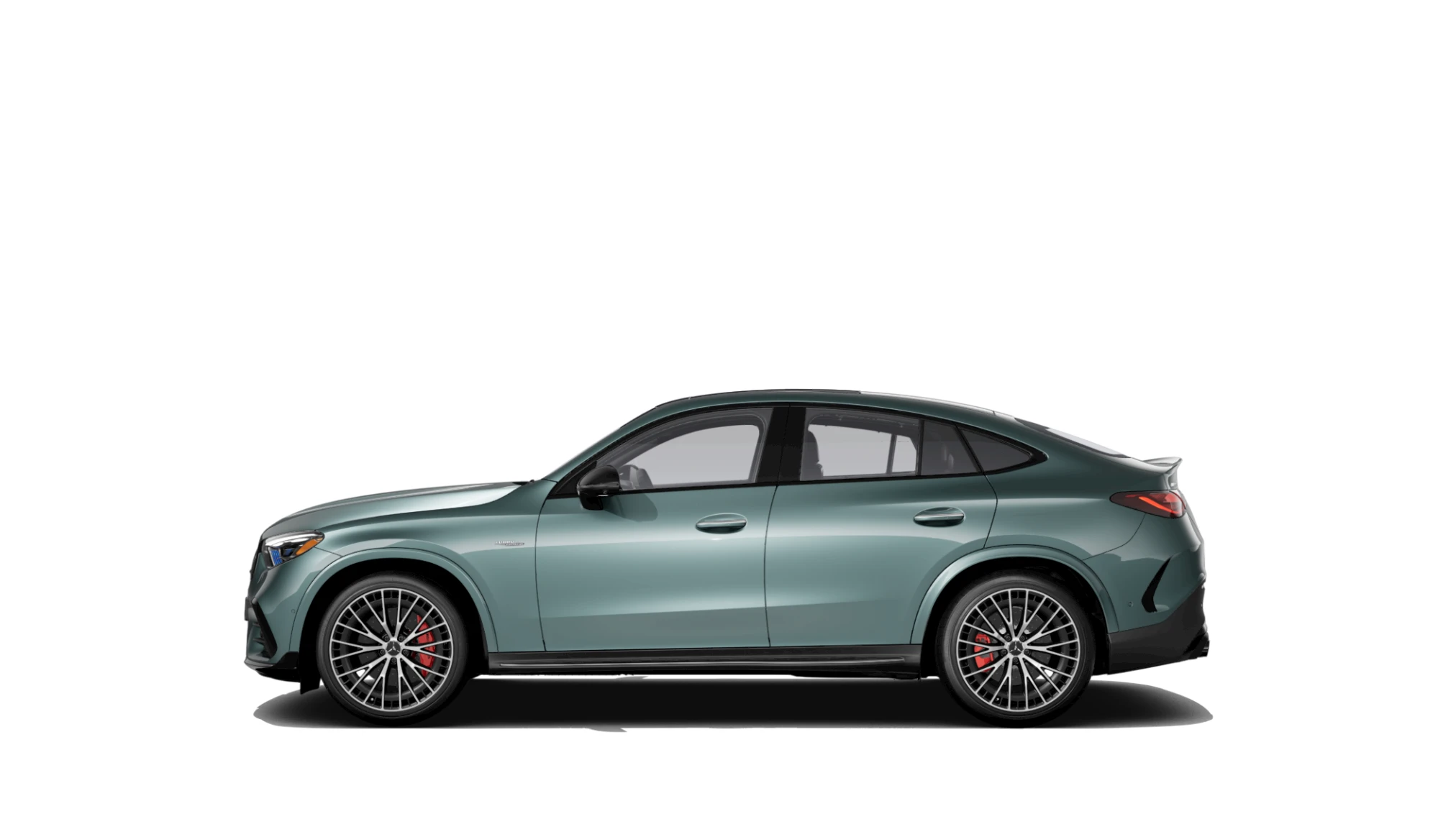 Side Profile (Left)