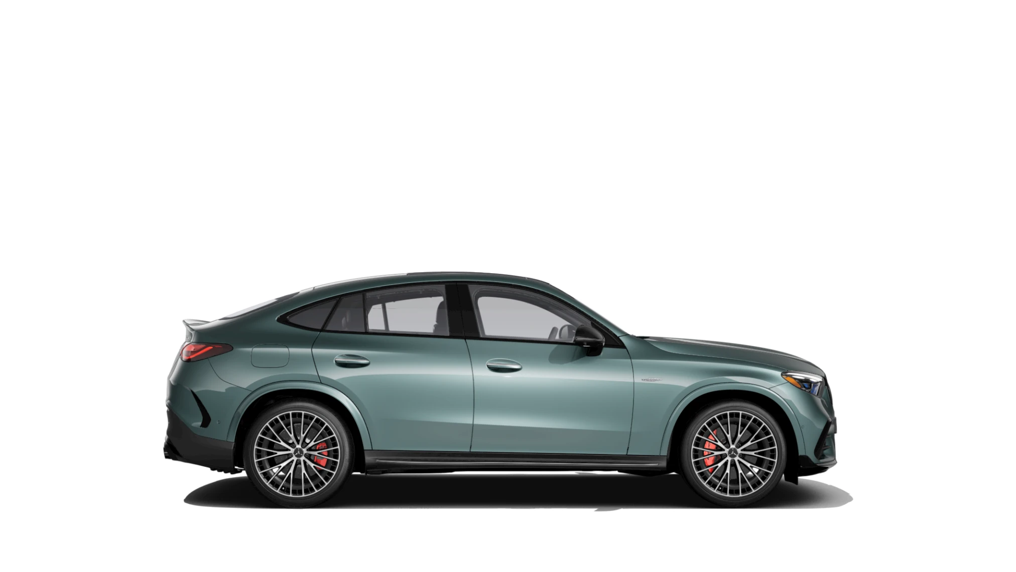 Side Profile (Right)