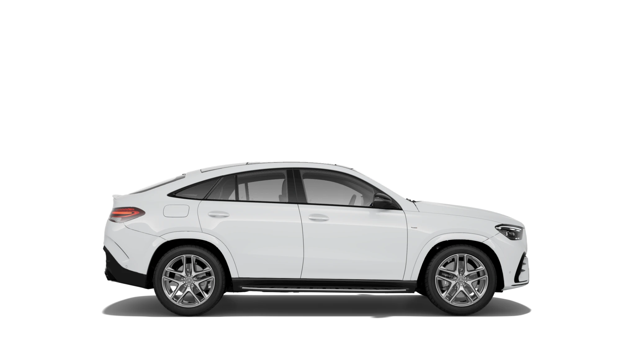 Side Profile (Right)