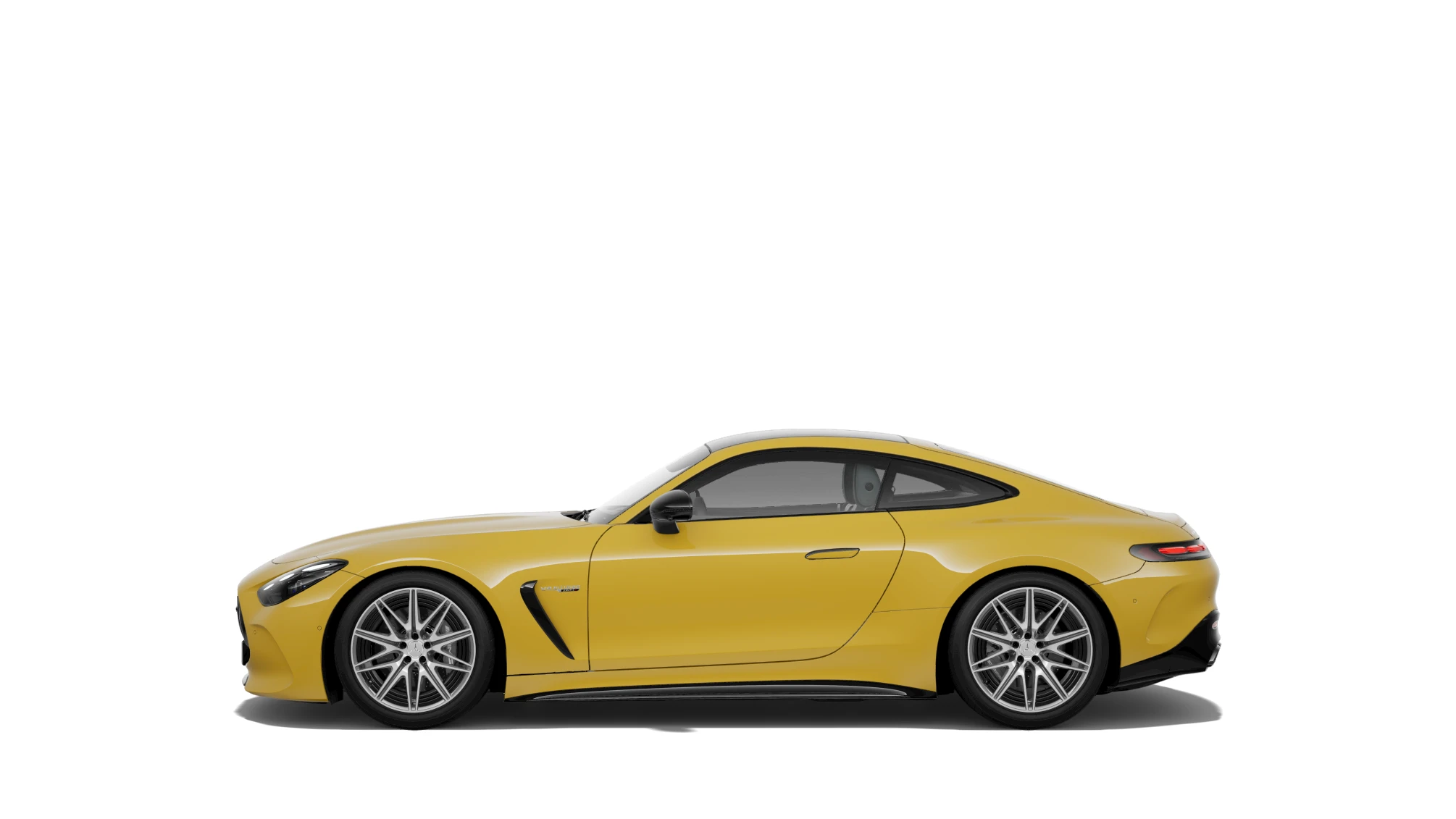 Side Profile (Left)