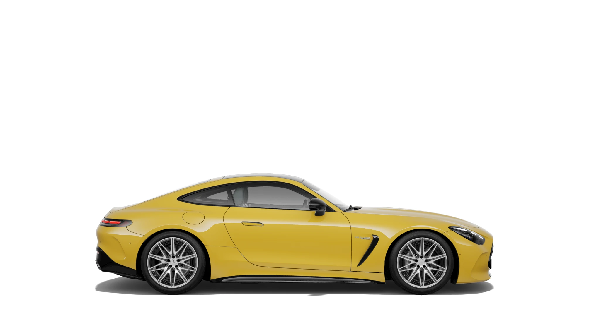Side Profile (Right)