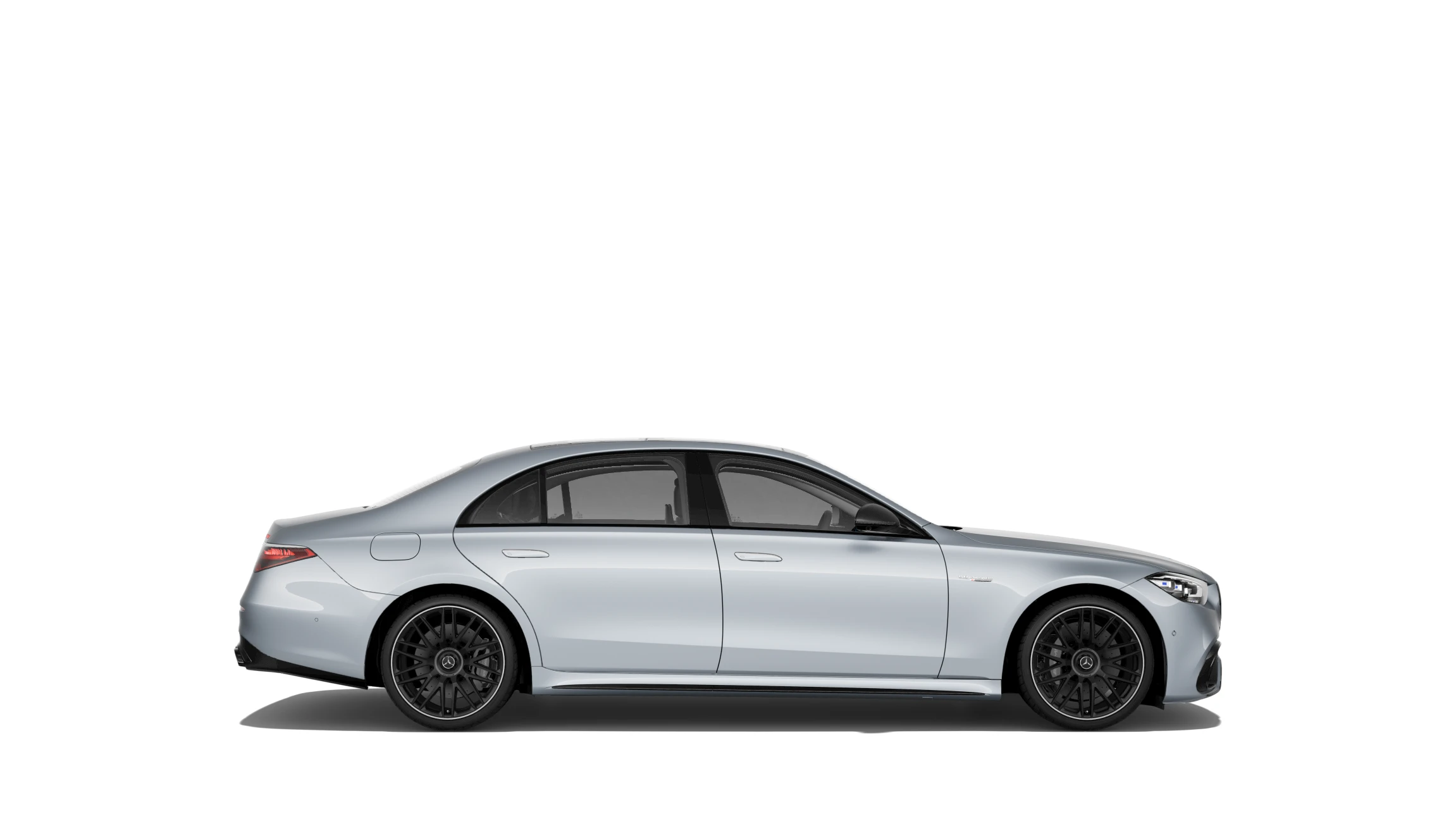 Side Profile (Right)