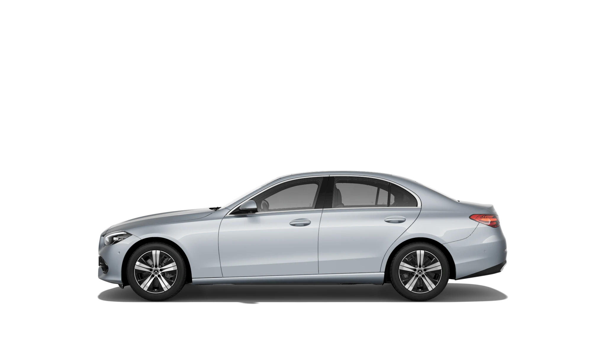 Side Profile (Left)