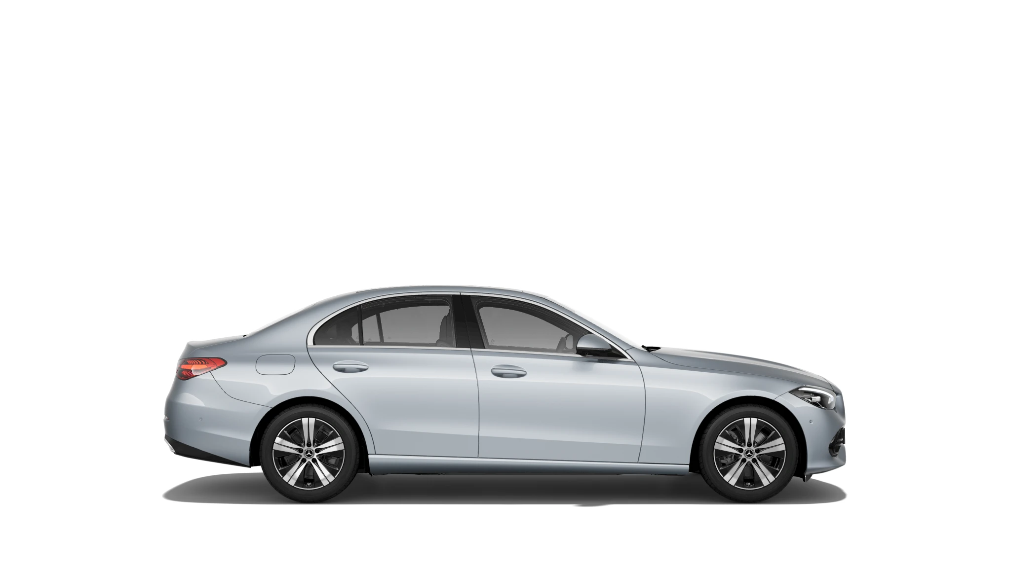 Side Profile (Right)
