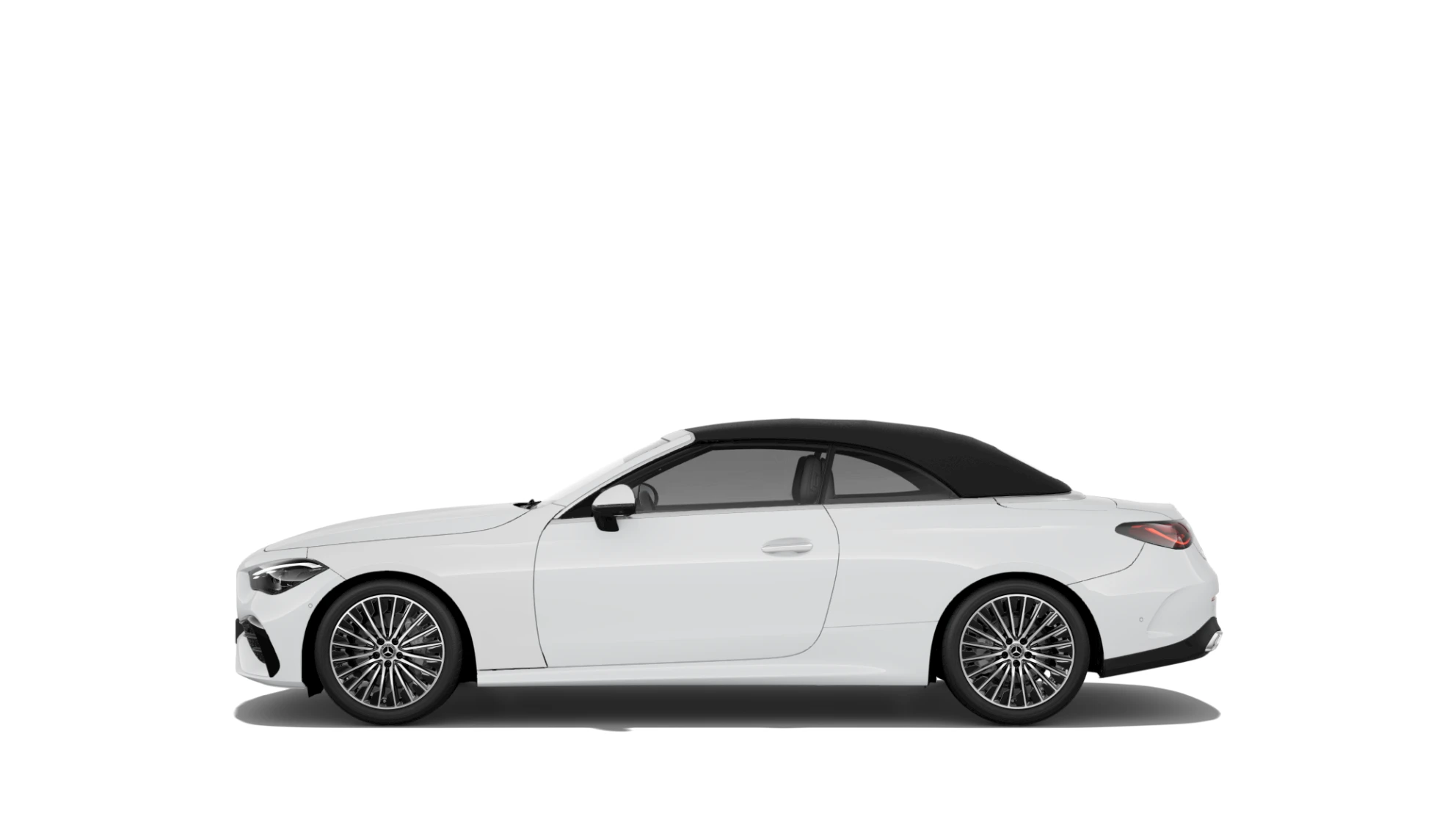 Side Profile (Left)