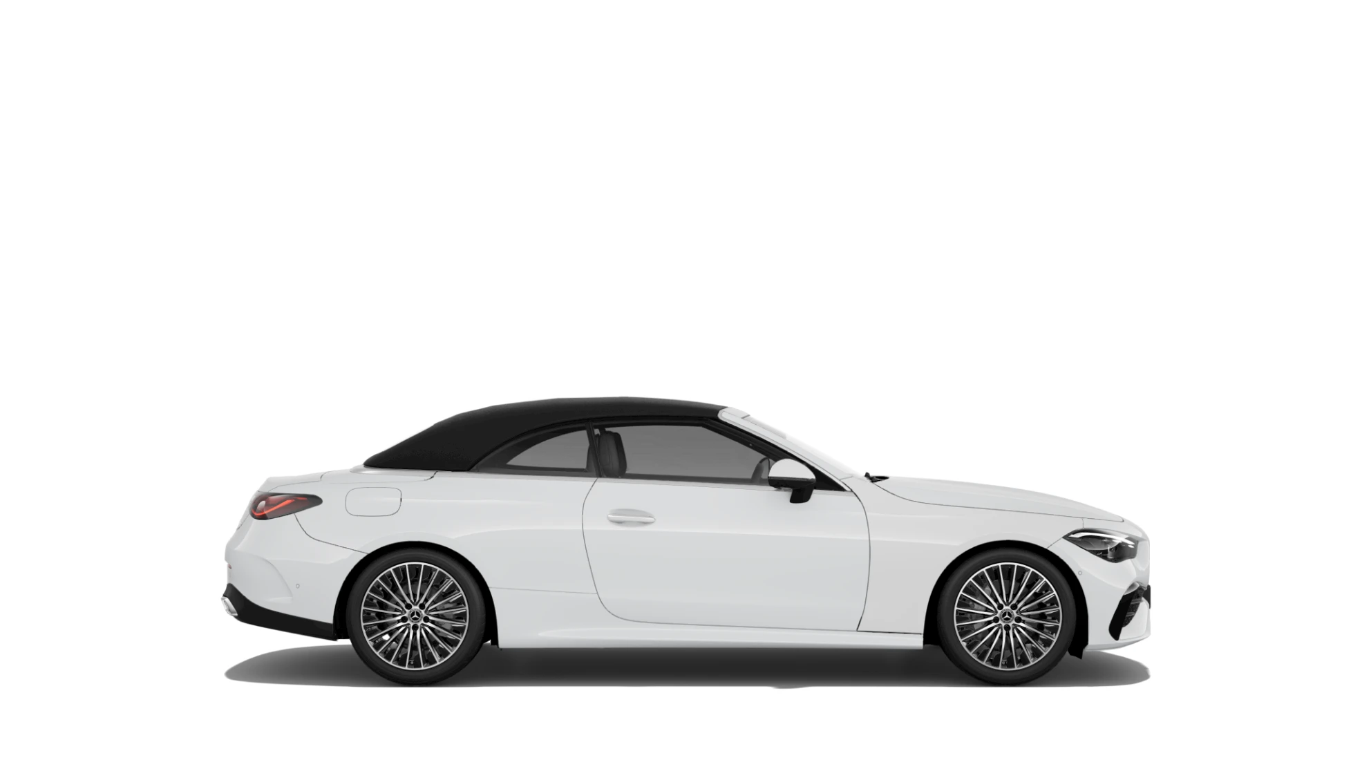 Side Profile (Right)