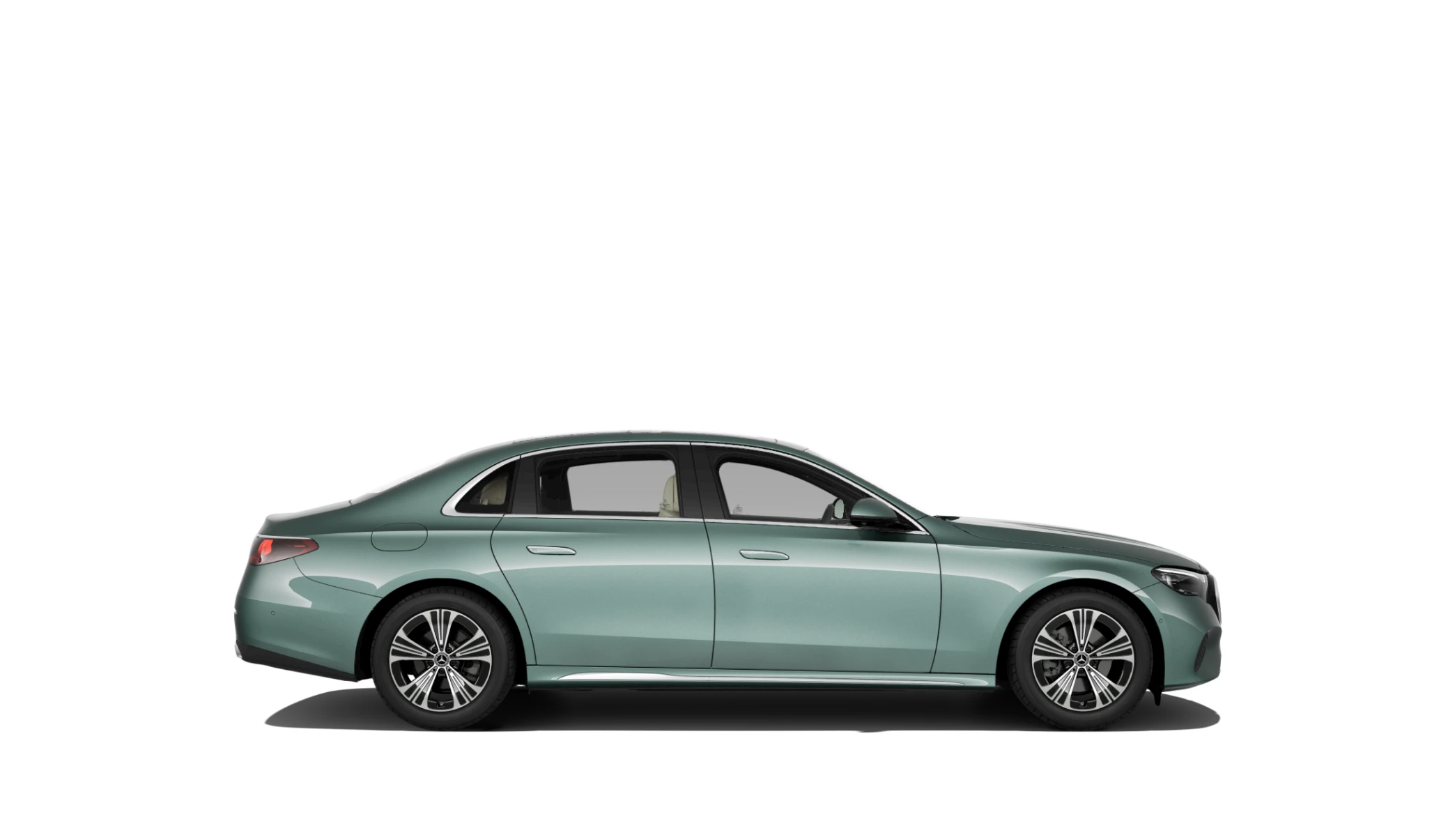 Side Profile (Right)