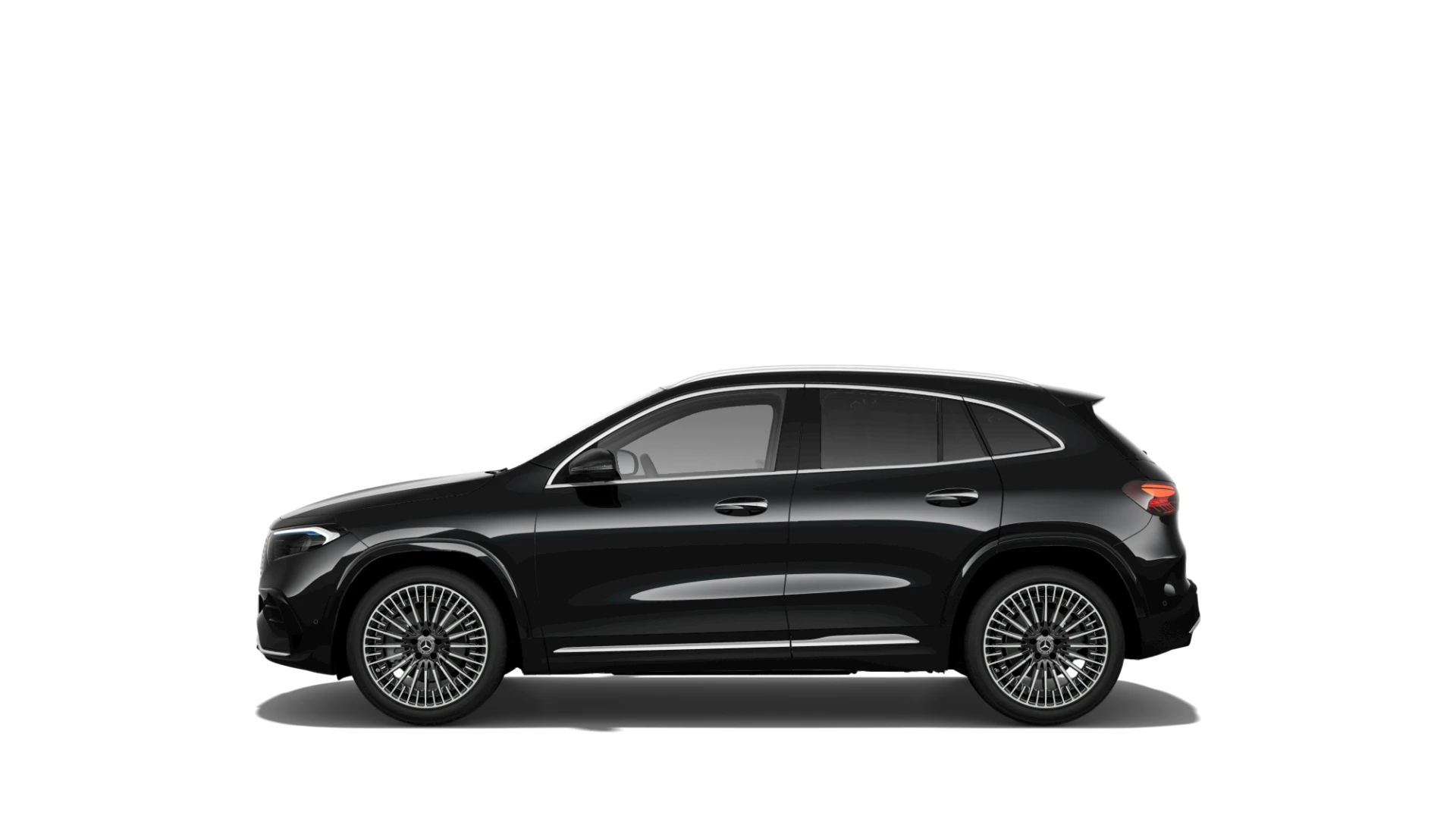 Side Profile (Left)
