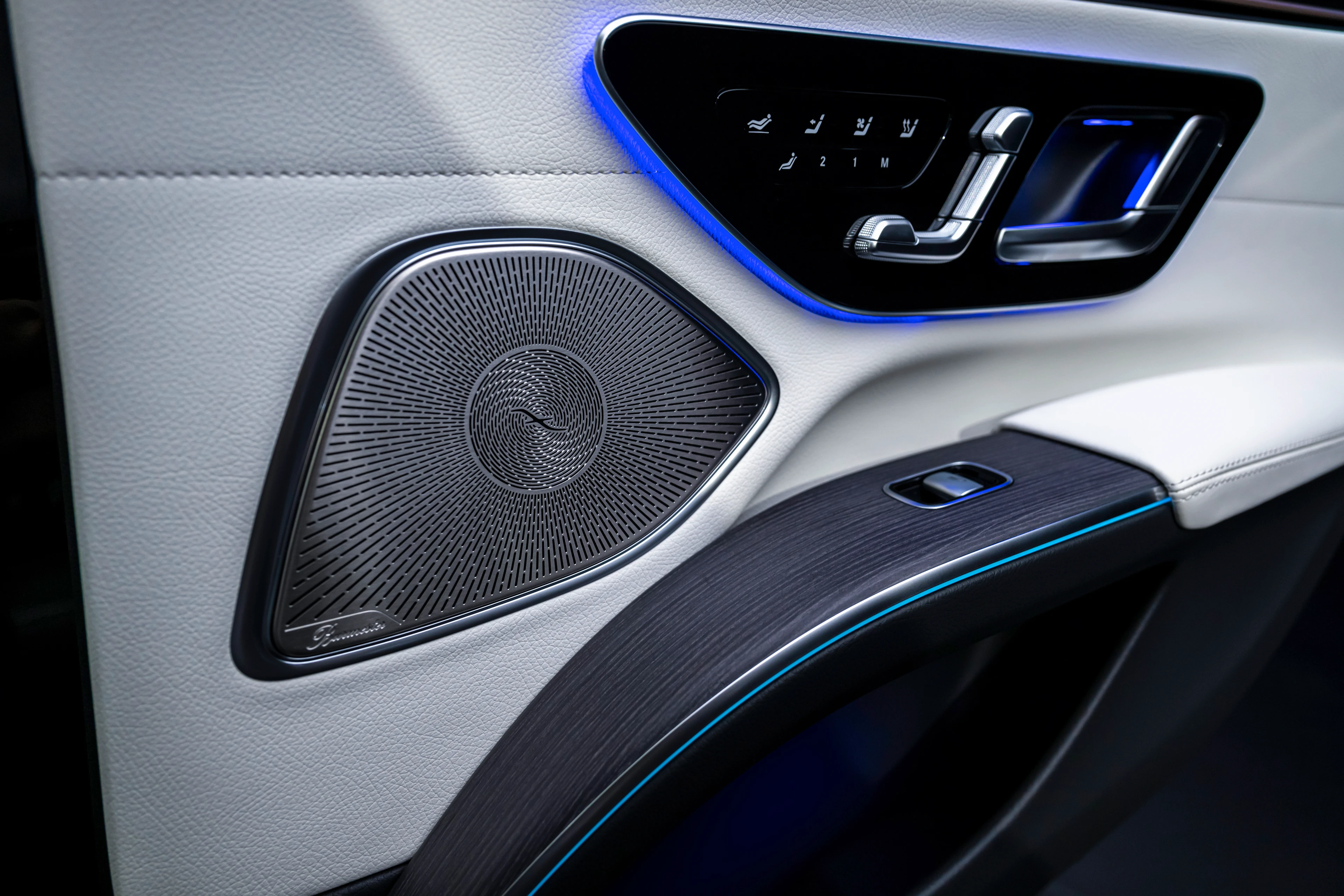 Door Panel with Burmester Speaker