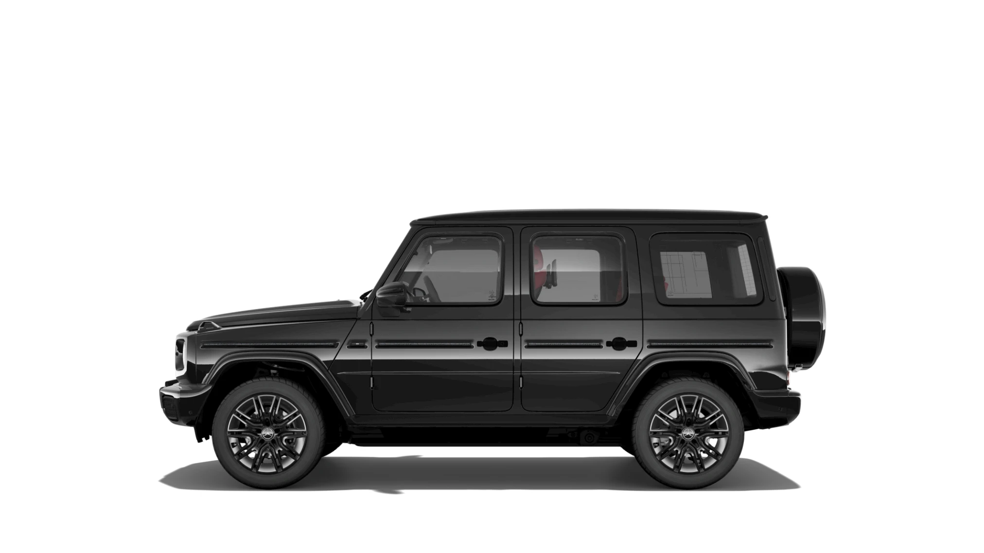 Side Profile (Left)