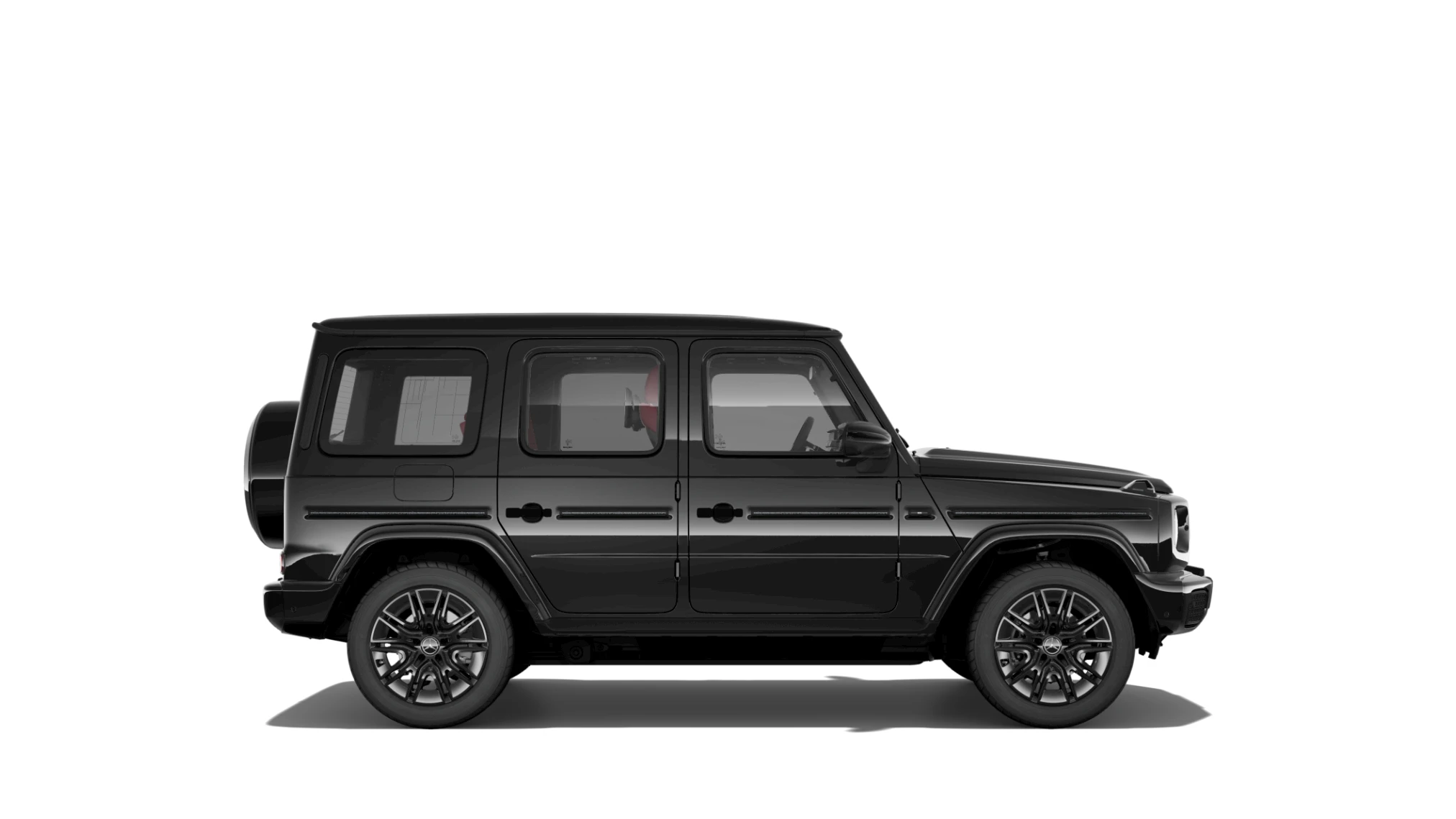 Side Profile (Right)