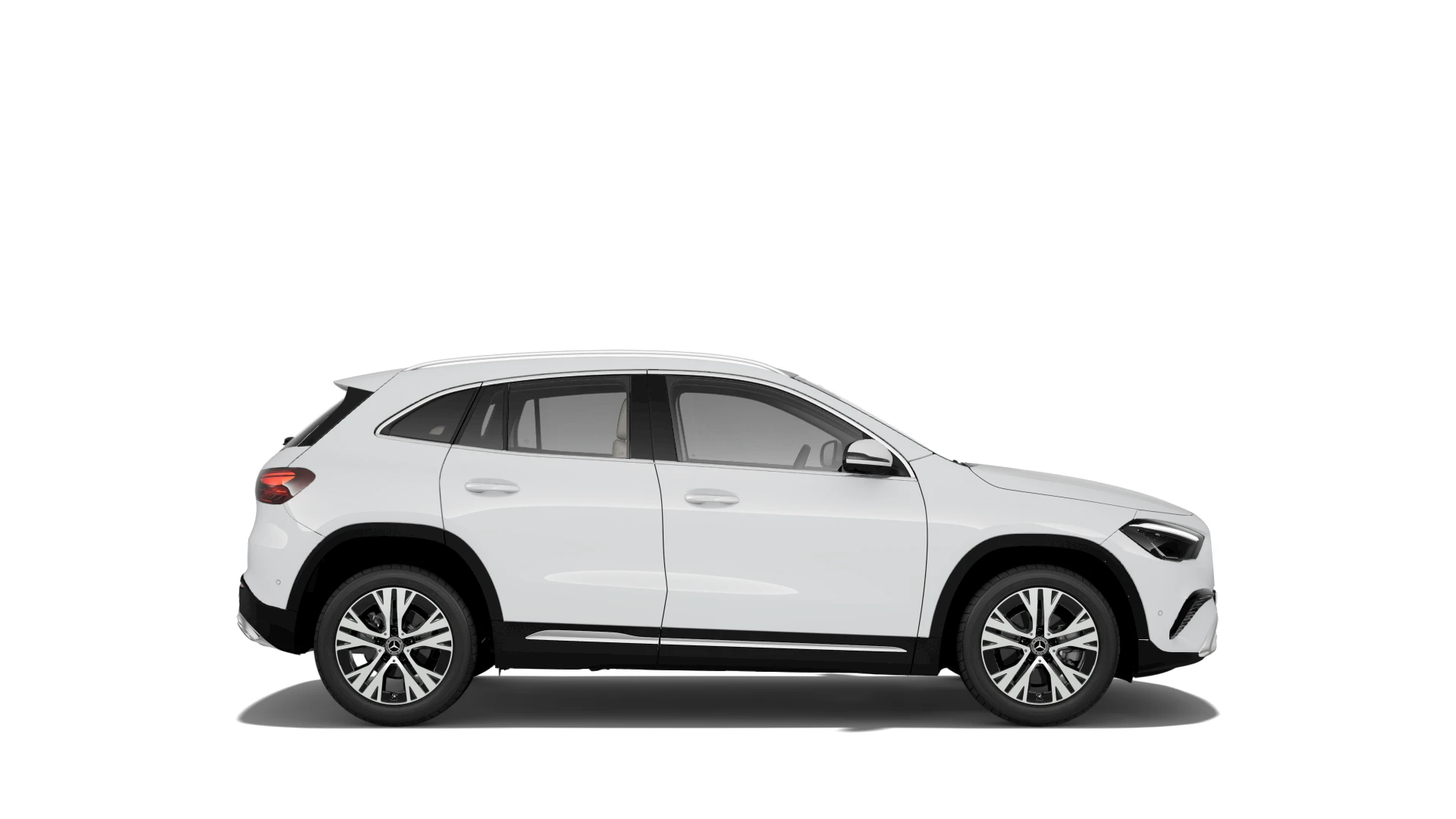 Side Profile (Right)