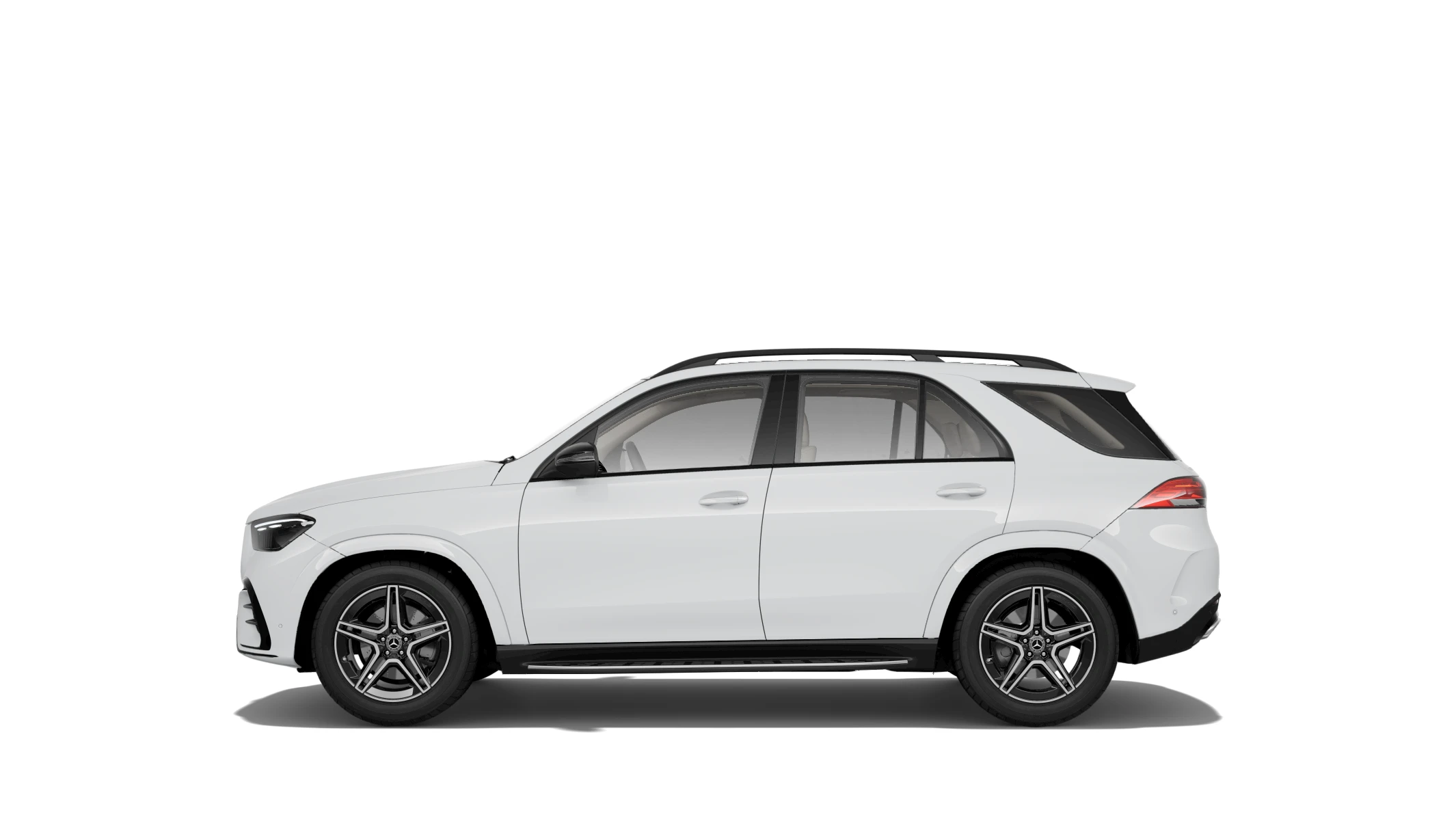 Side Profile (Left)