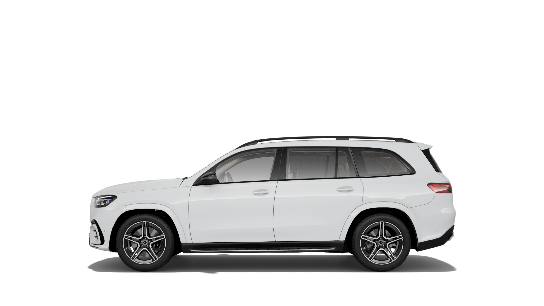 Side Profile (Left)