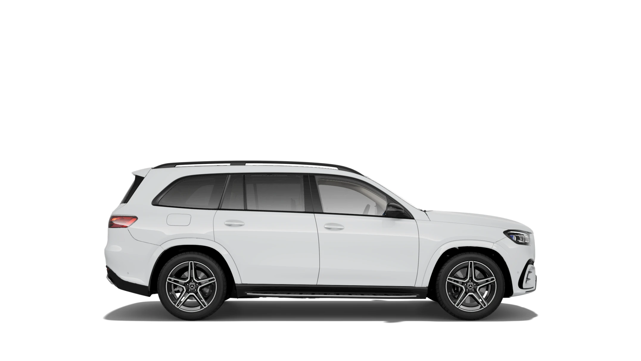 Side Profile (Right)