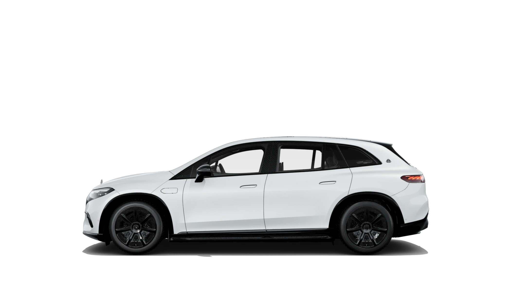 Side Profile (Left)