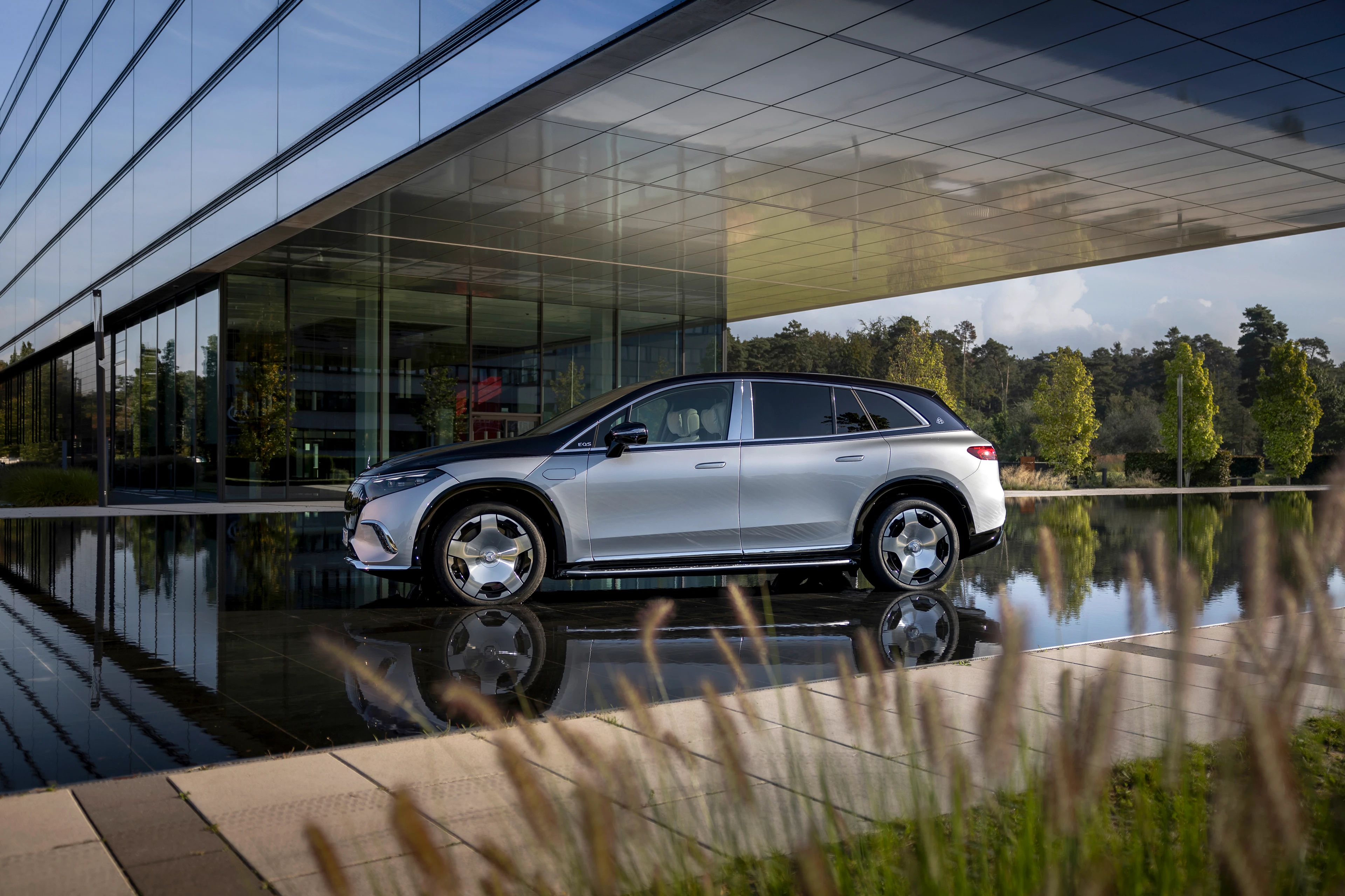 Side Profile (Water Reflection)