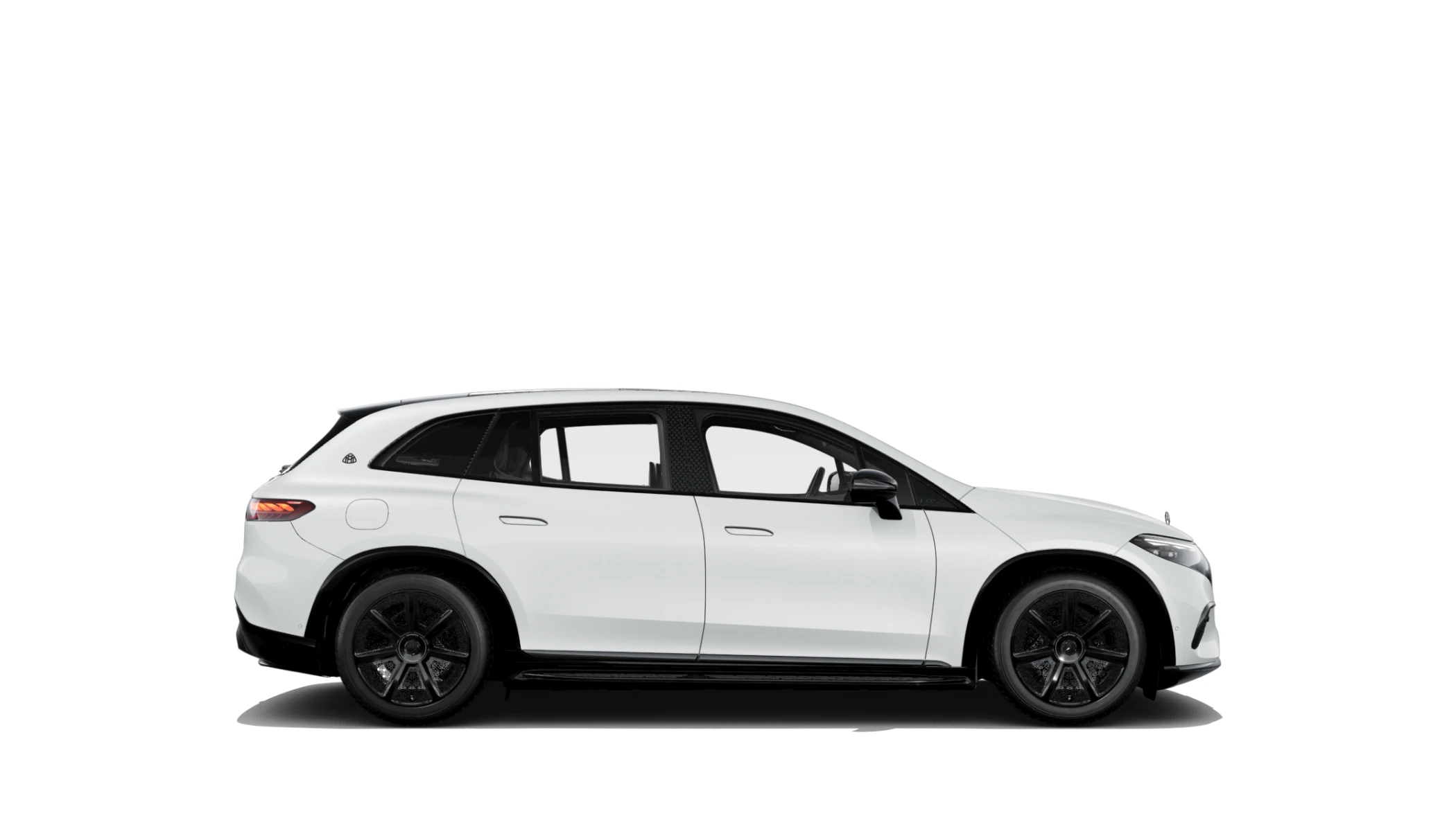 Side Profile (Right)