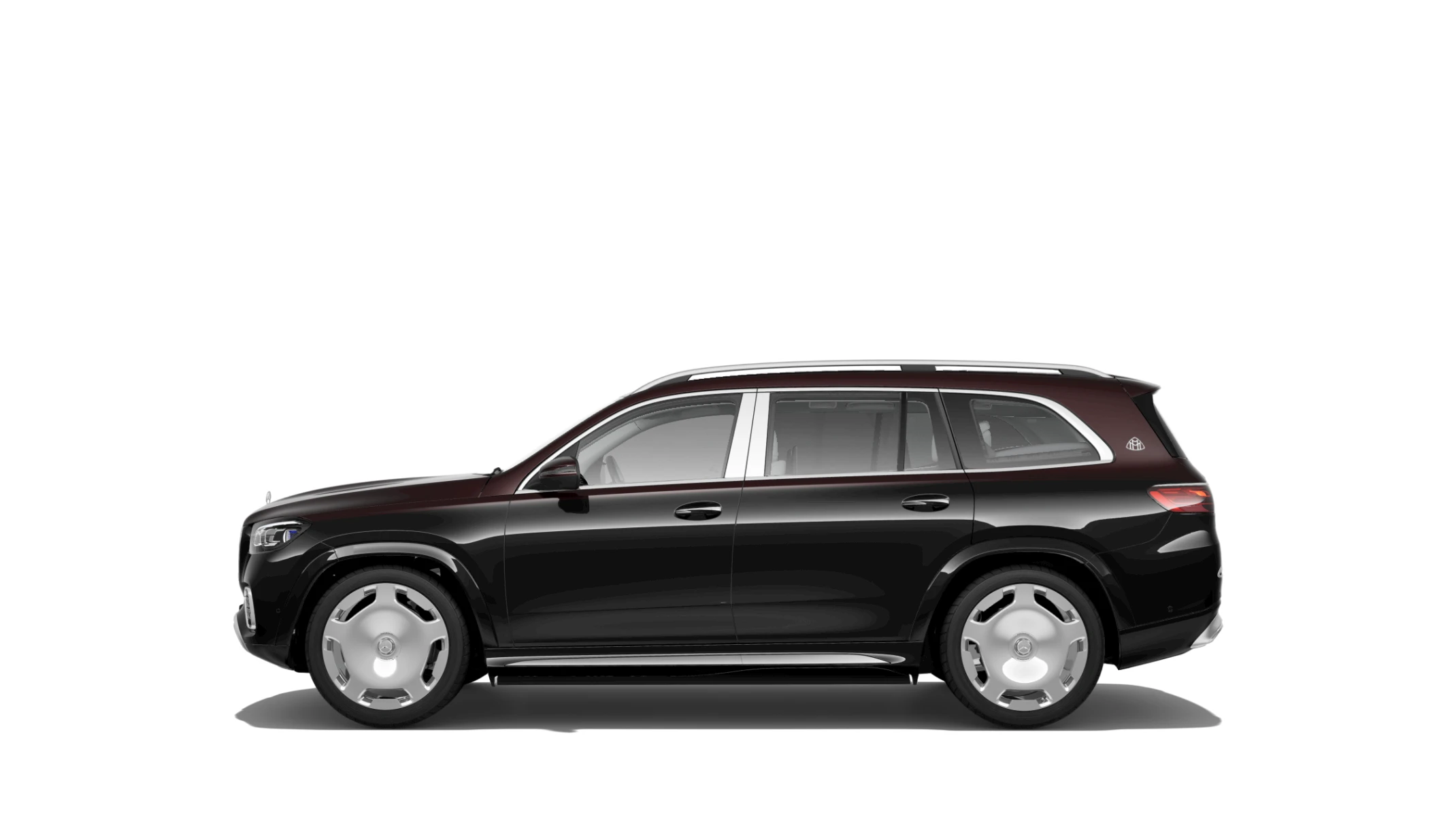 Side Profile (Left)
