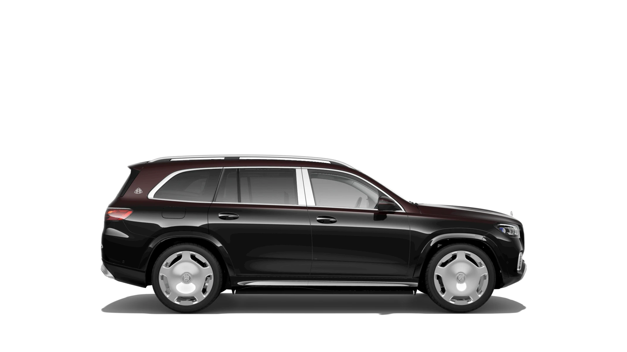 Side Profile (Right)