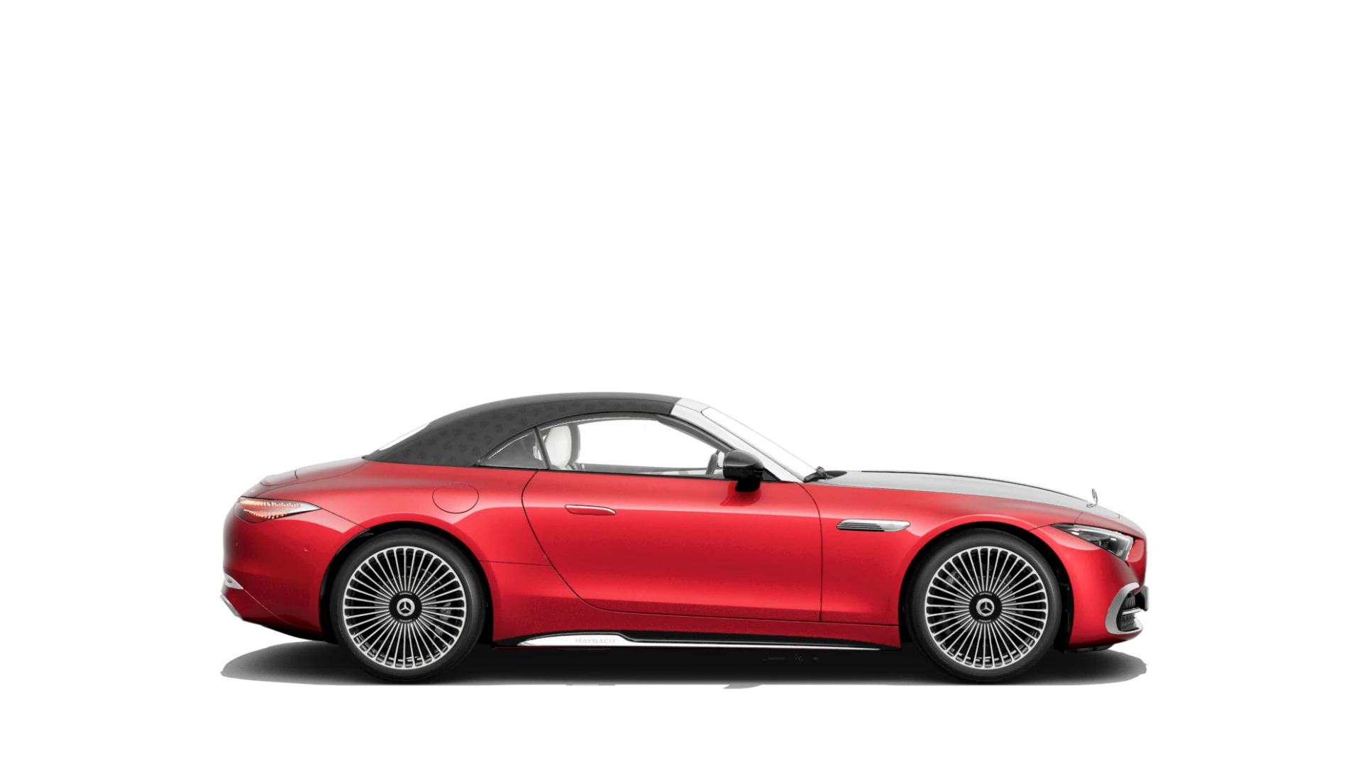 Side Profile (Right)