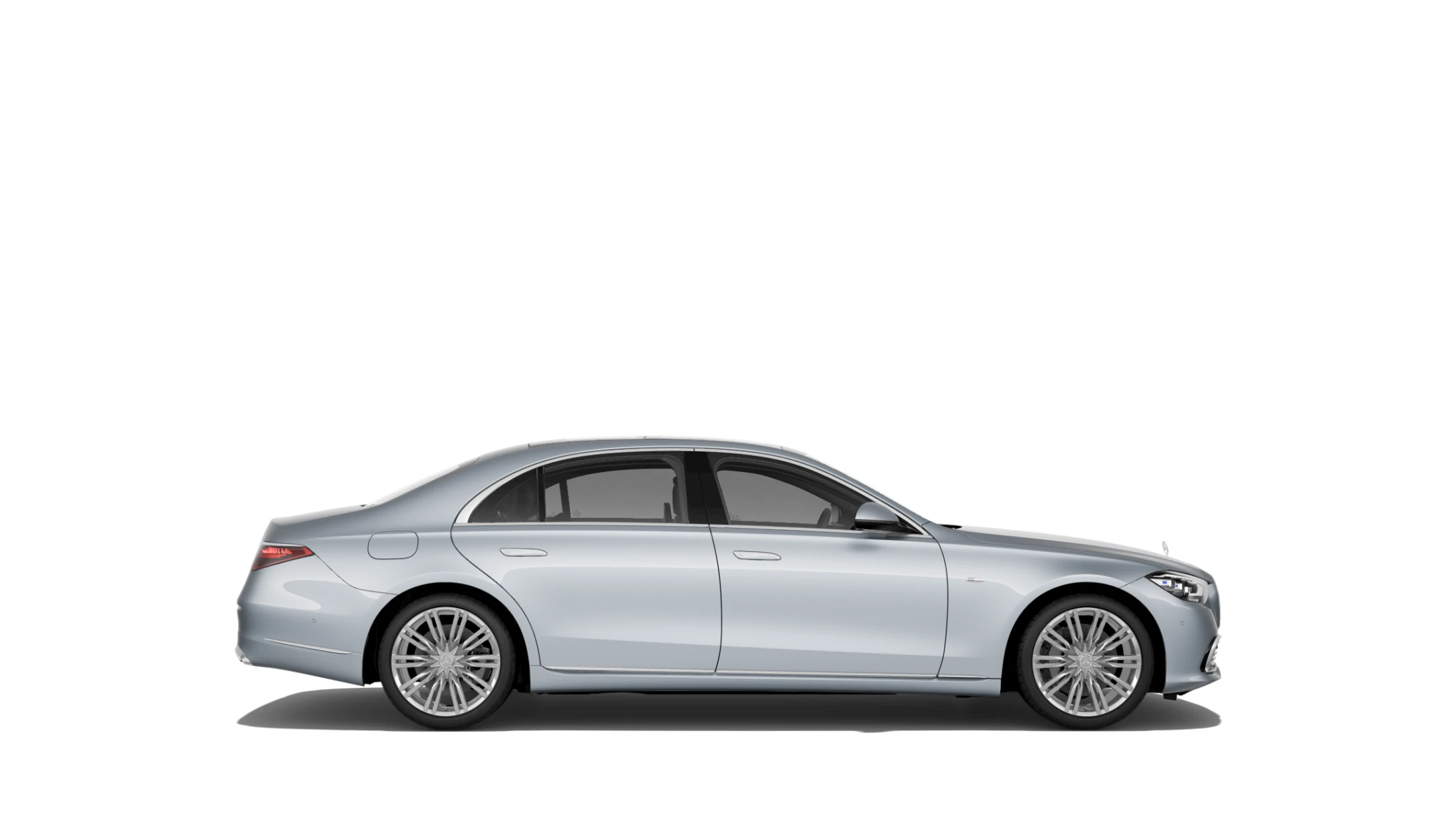 Side Profile (Right)