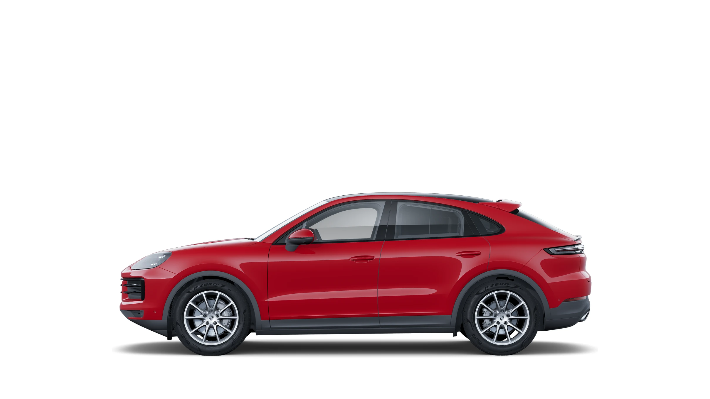 Side Profile (Left)