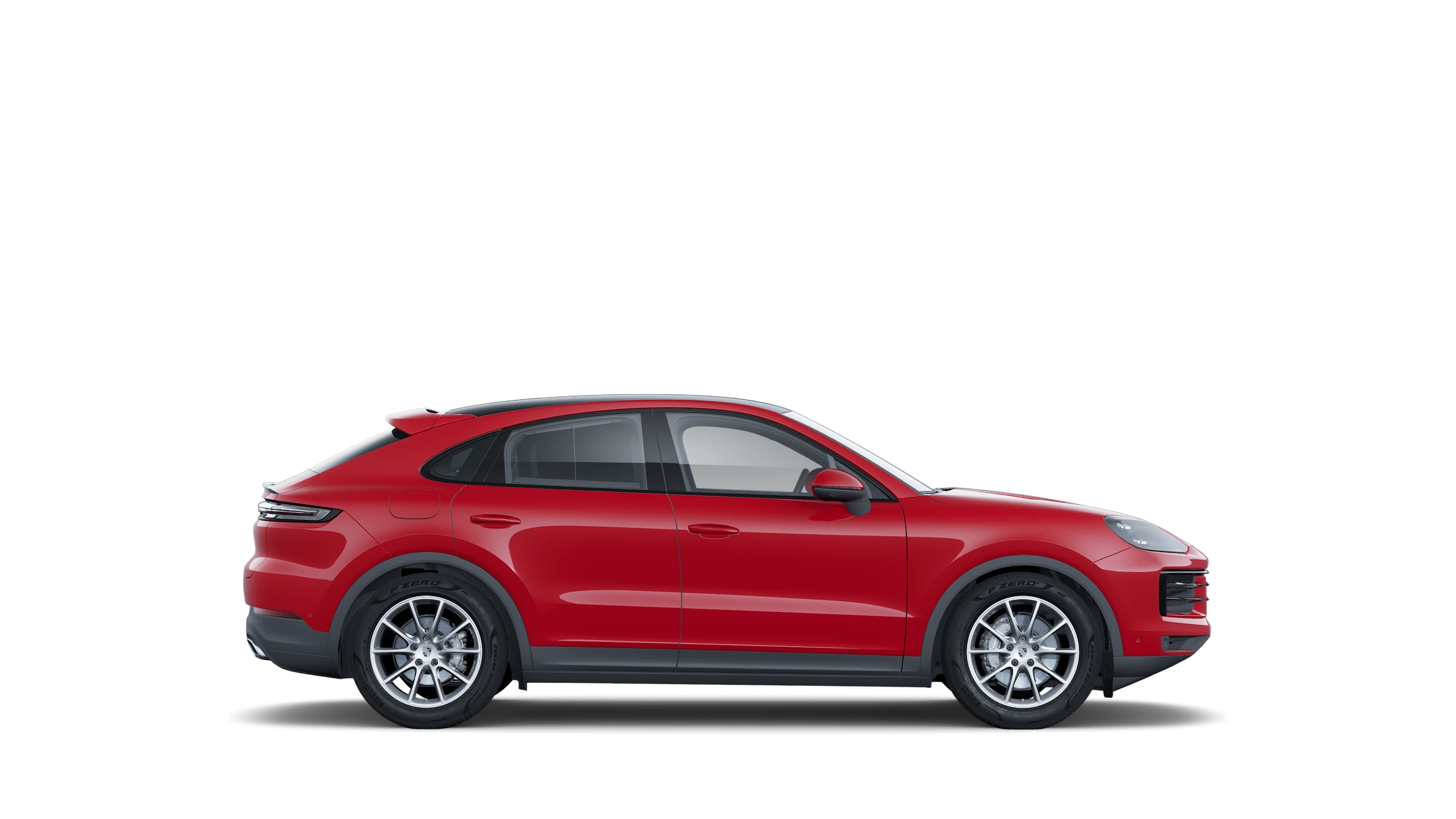Side Profile (Right)