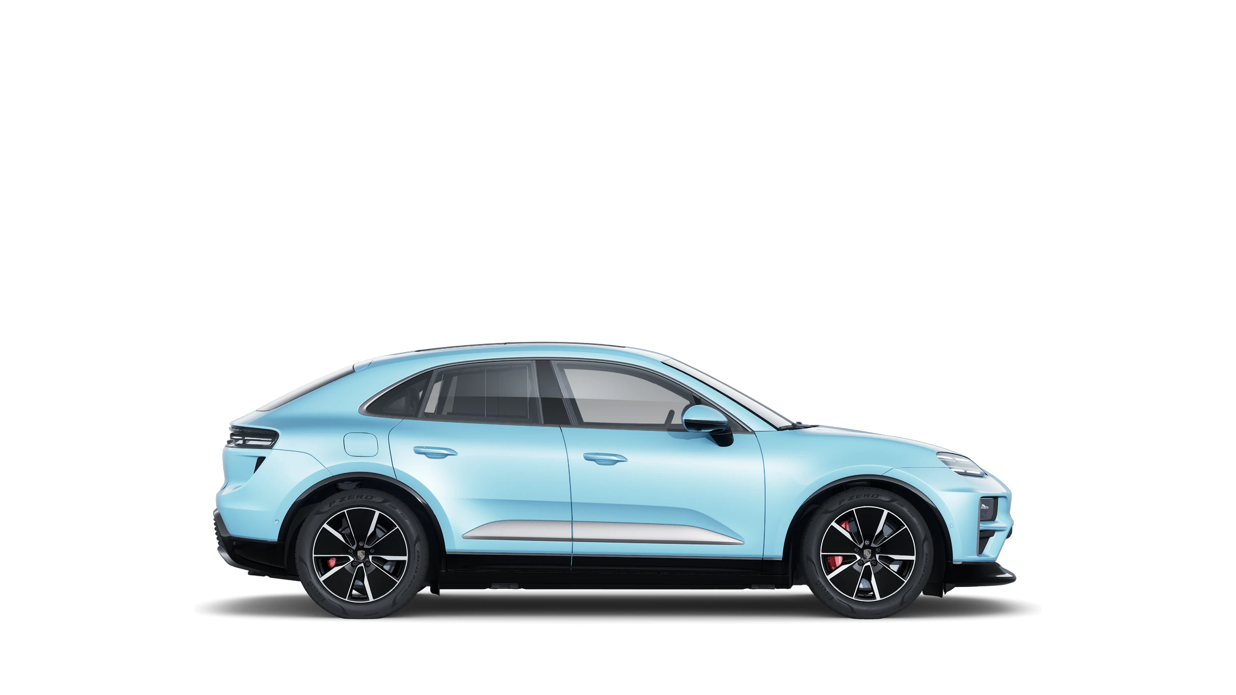 Side Profile (Right)