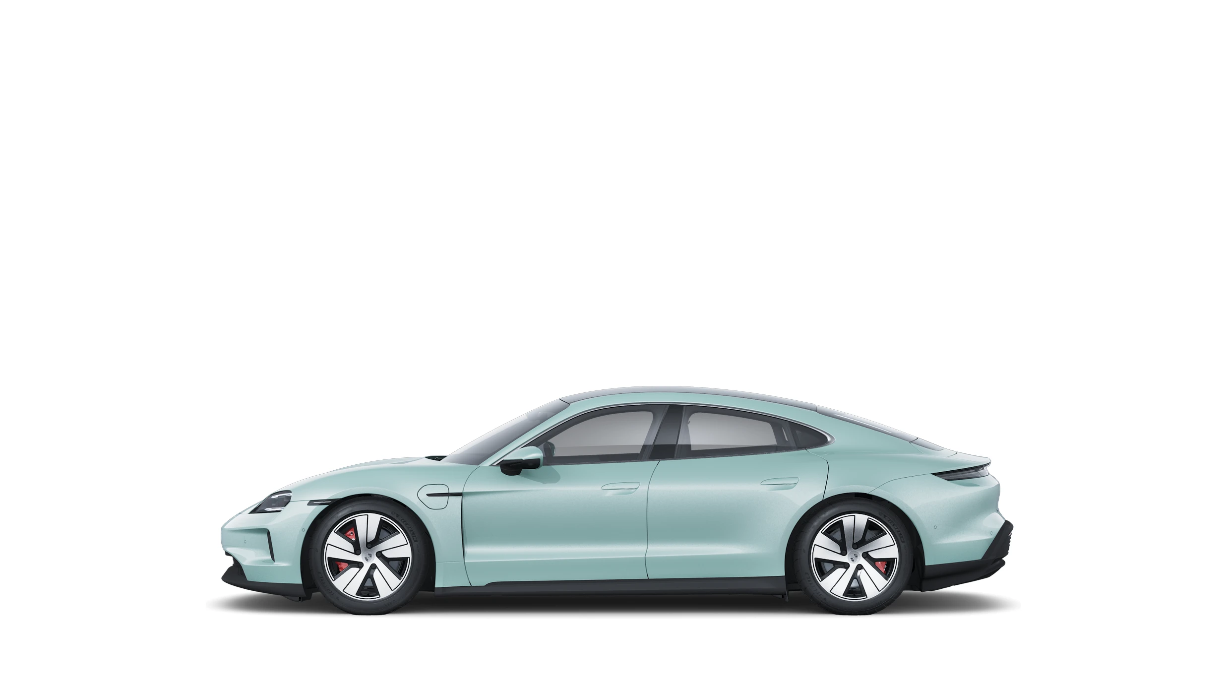 Side Profile (Left)