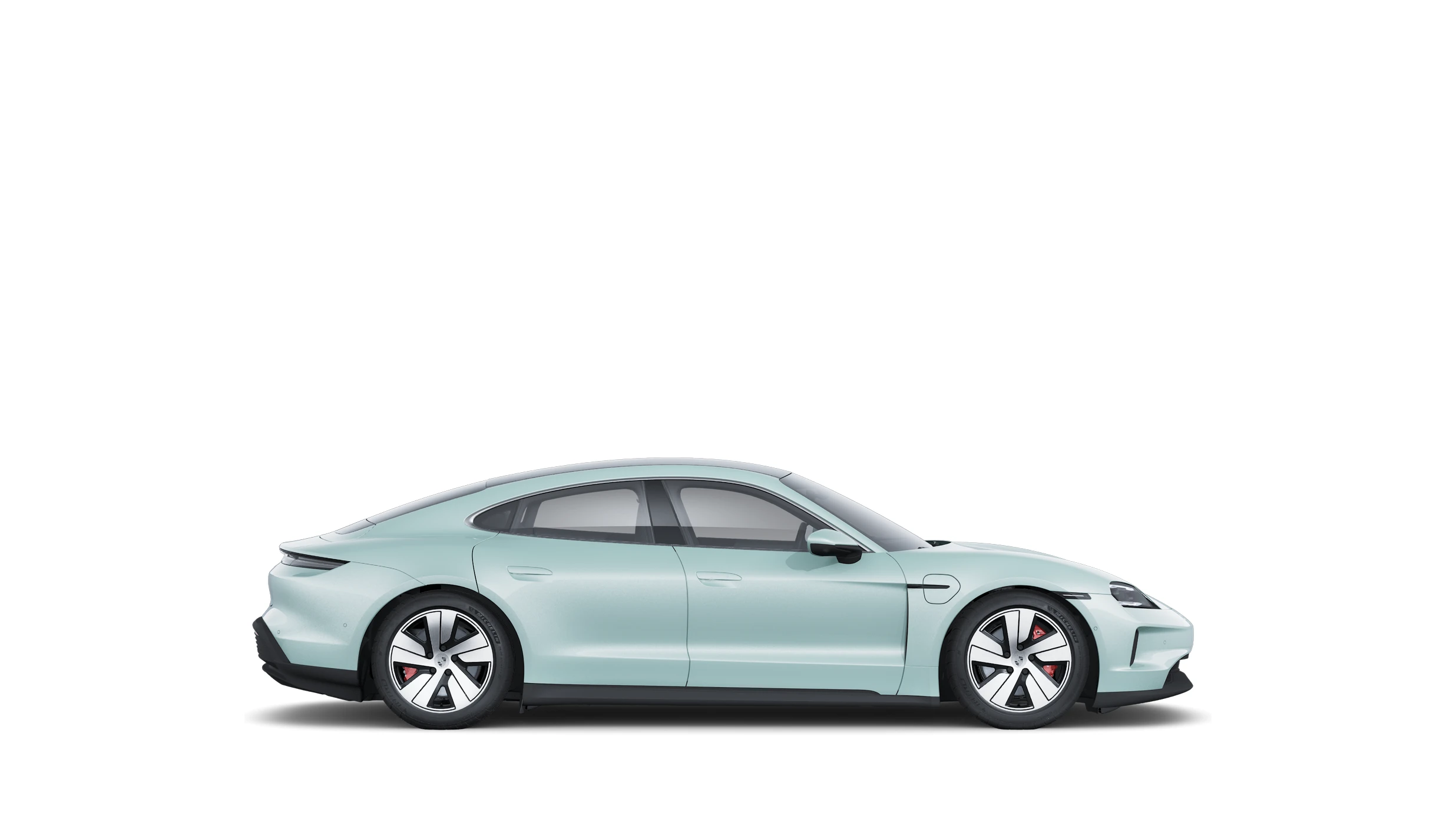 Side Profile (Right)