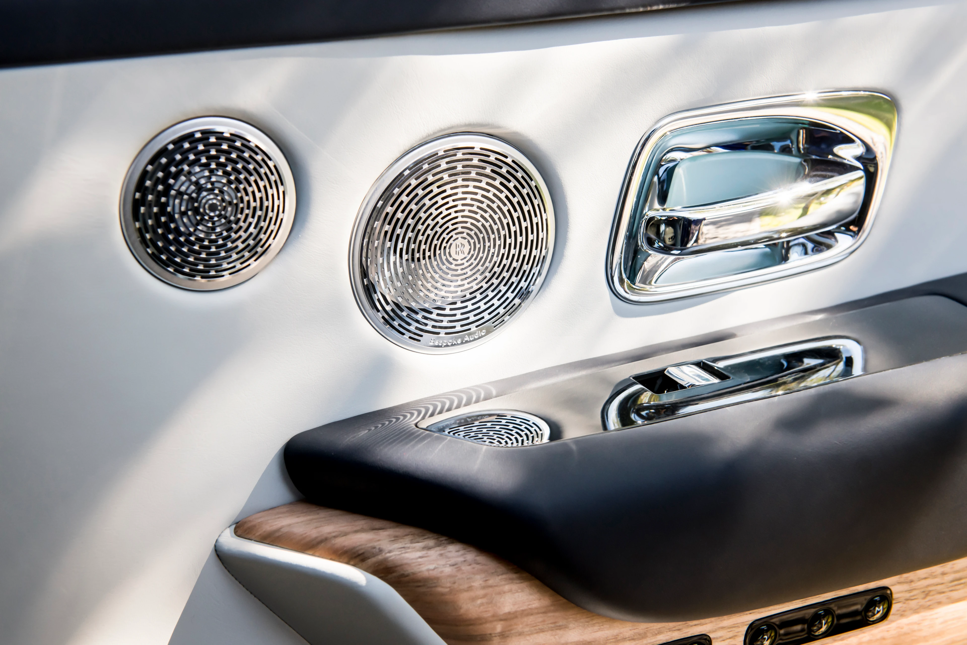 Door Trim and Bespoke Audio Speakers