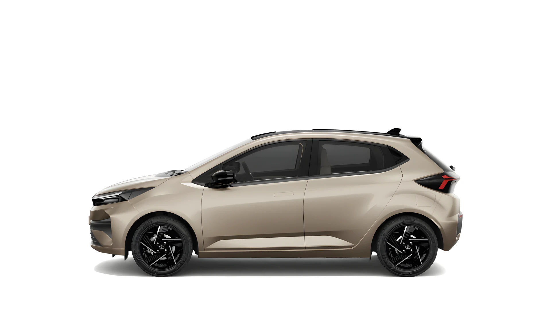 Side Profile (Left)