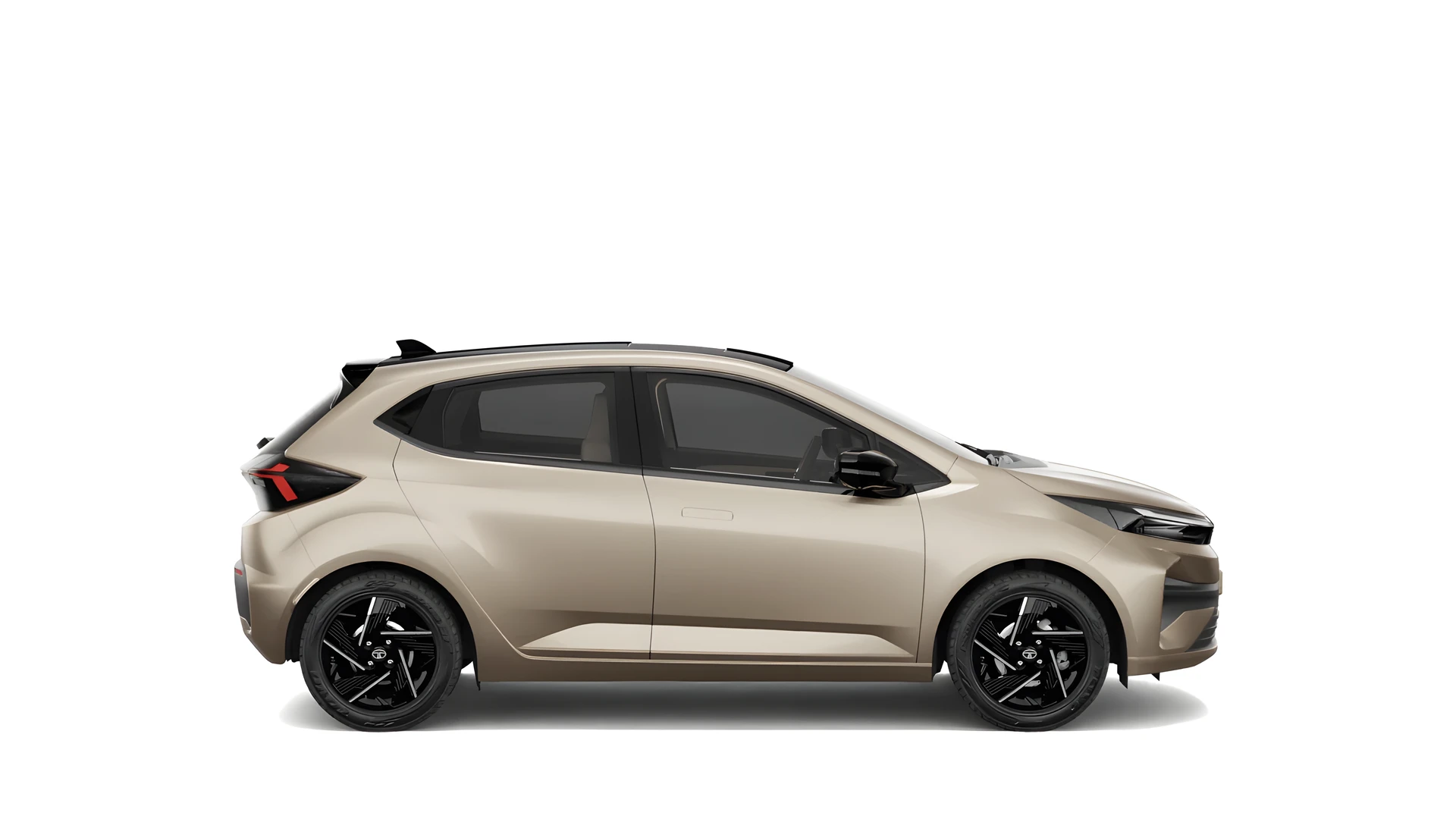 Side Profile (Right)