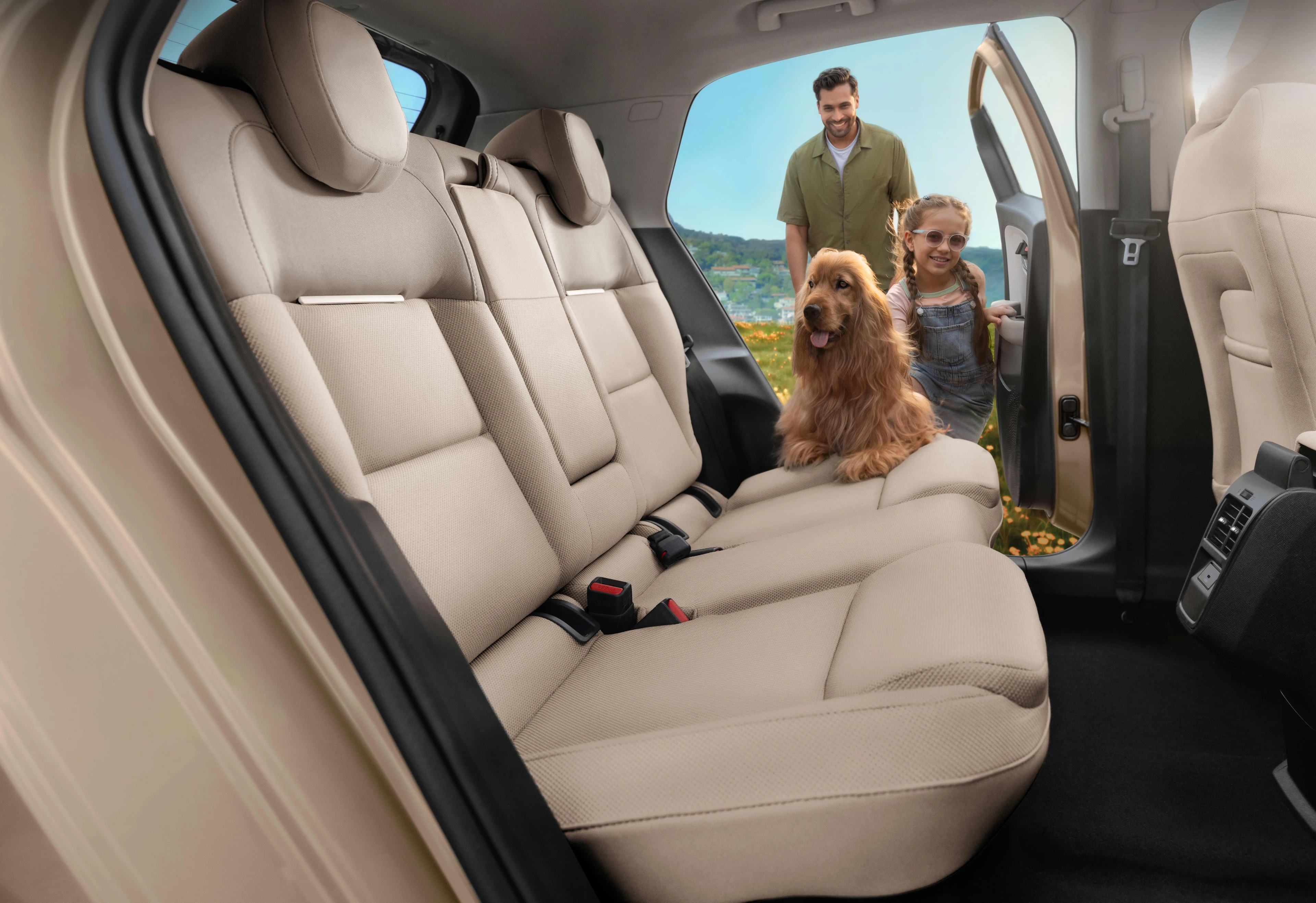Rear Seat Space
