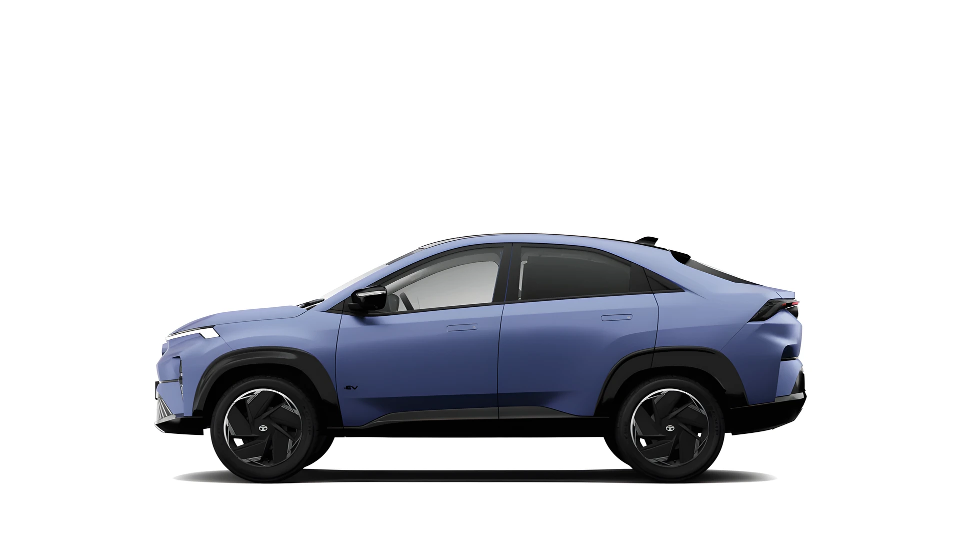 Side Profile (Left)
